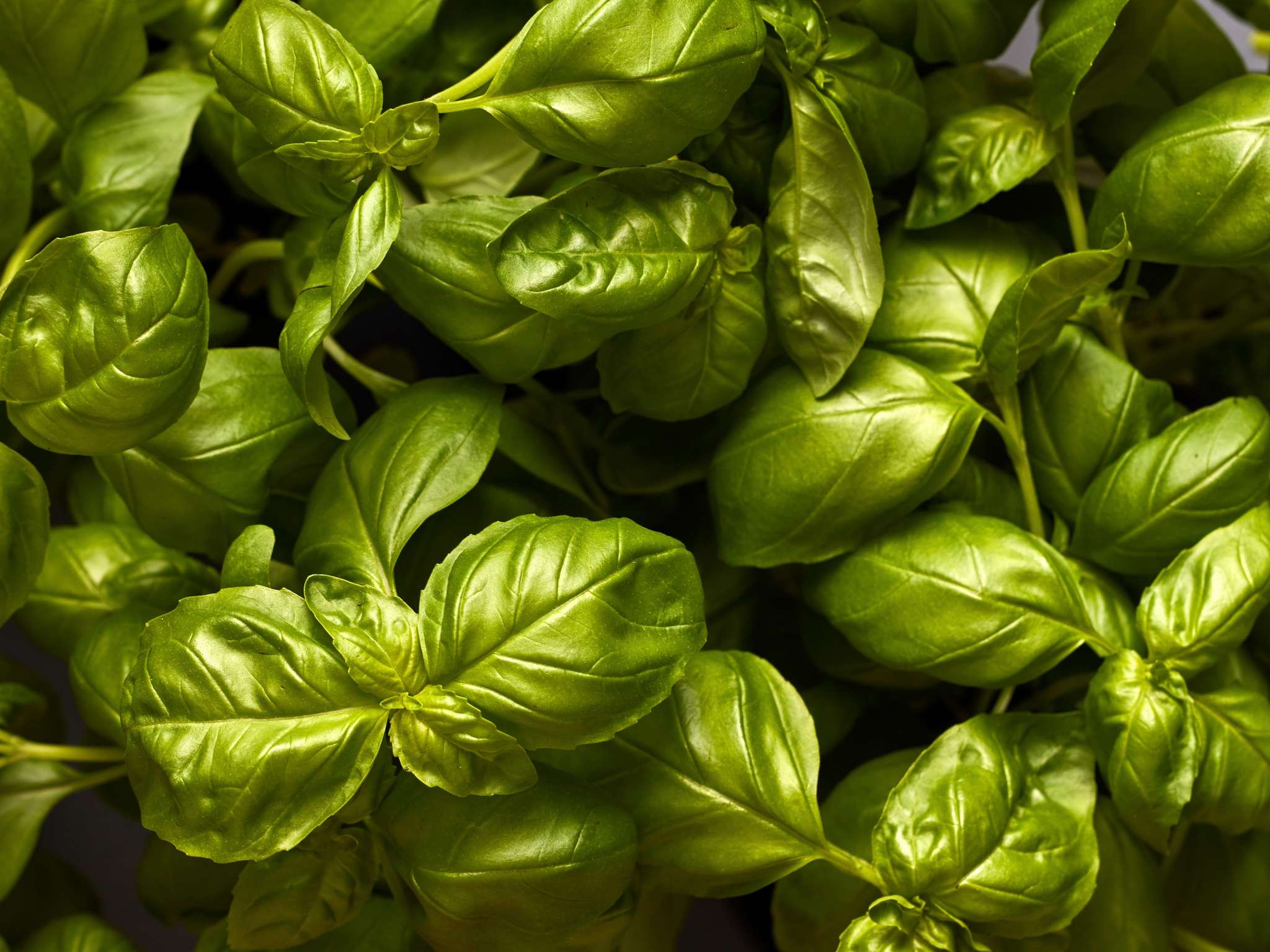 Photo - Sofitel Athens Airport