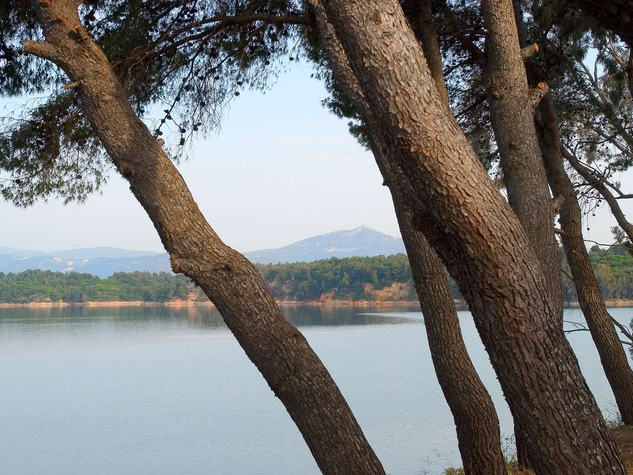 Photo - Sofitel Athens Airport