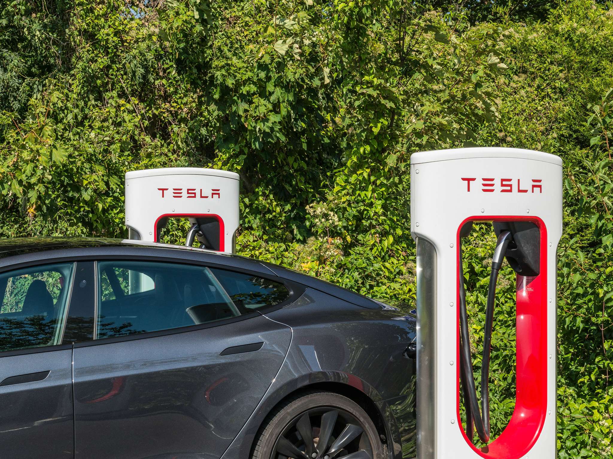 Photo - ibis budget Senlis