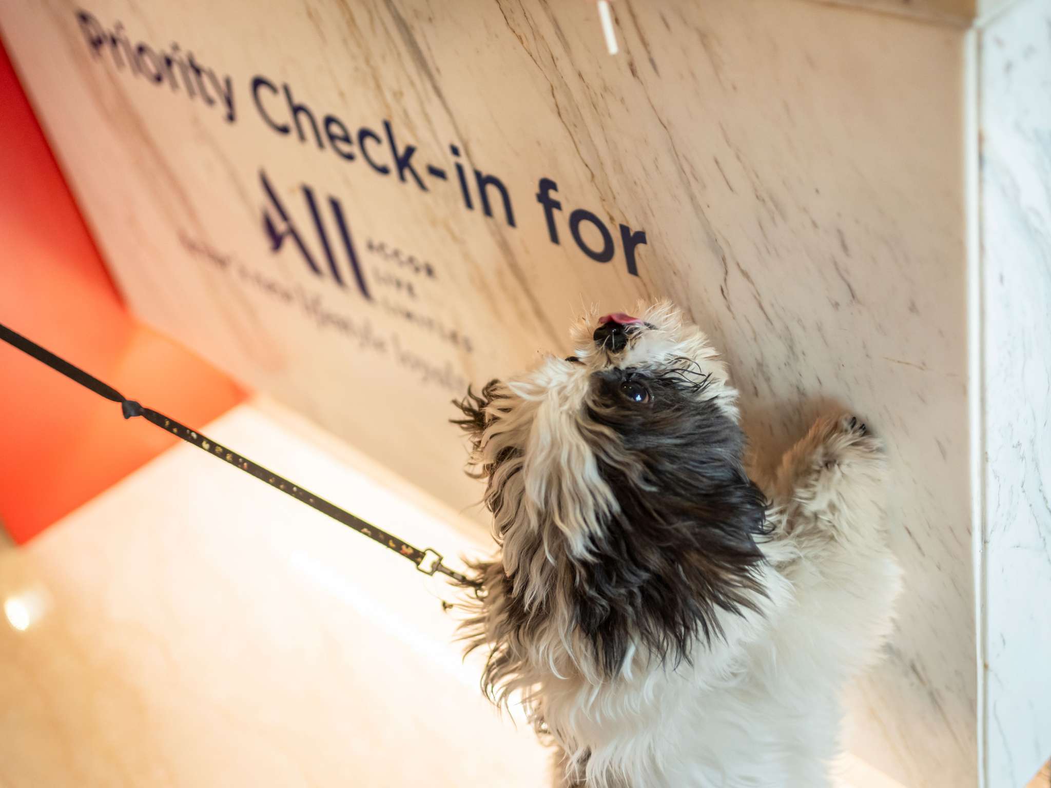 Foto - ibis budget London Barking