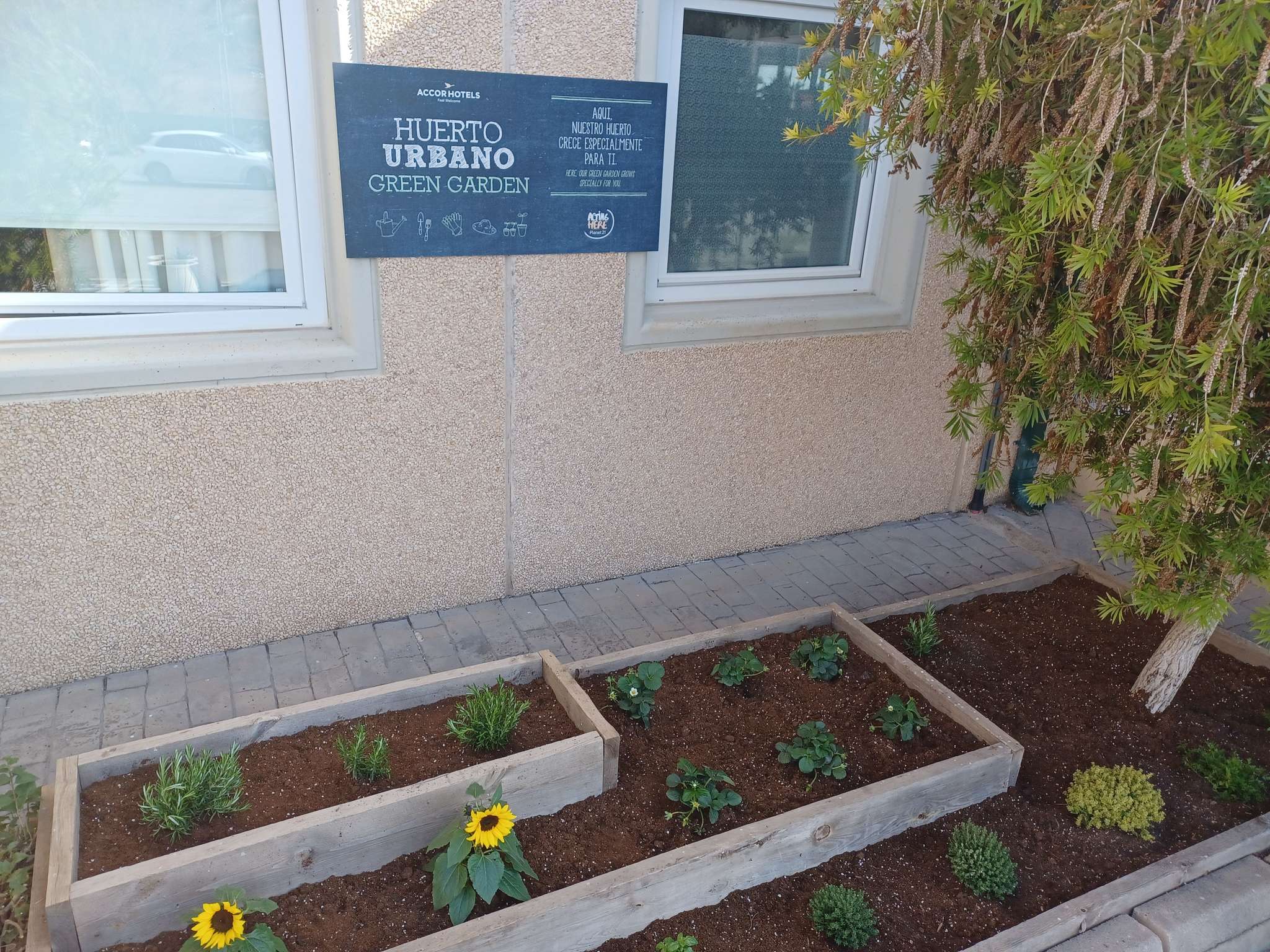 Photo - Ibis Hotel Alicante