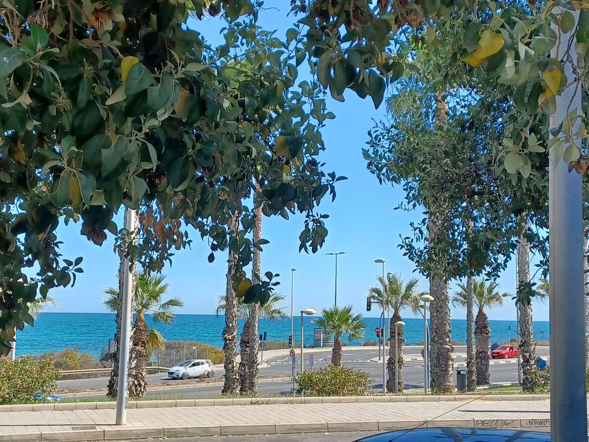 Photo - Ibis Hotel Alicante