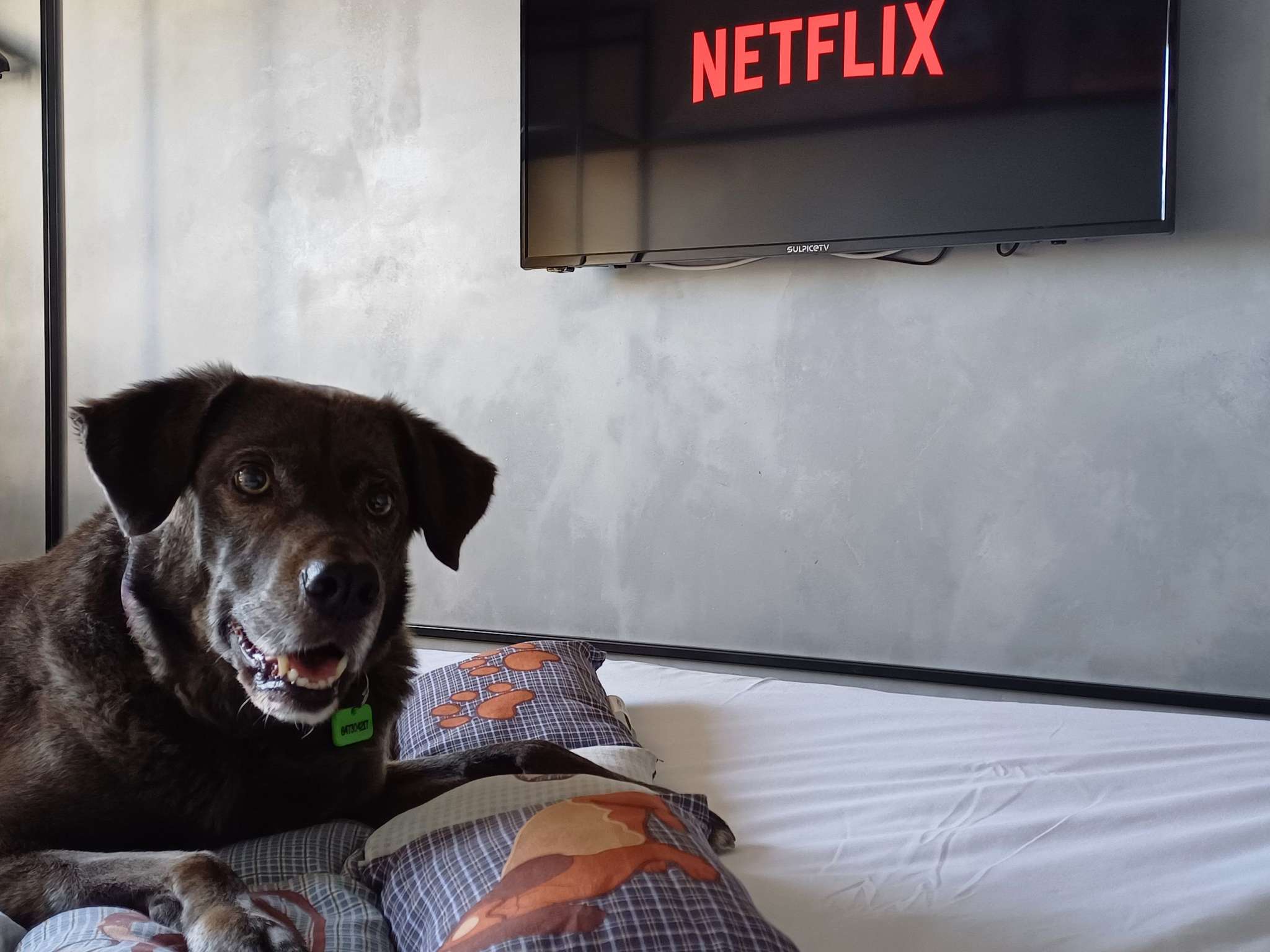 Foto - Ibis Hotel Alicante