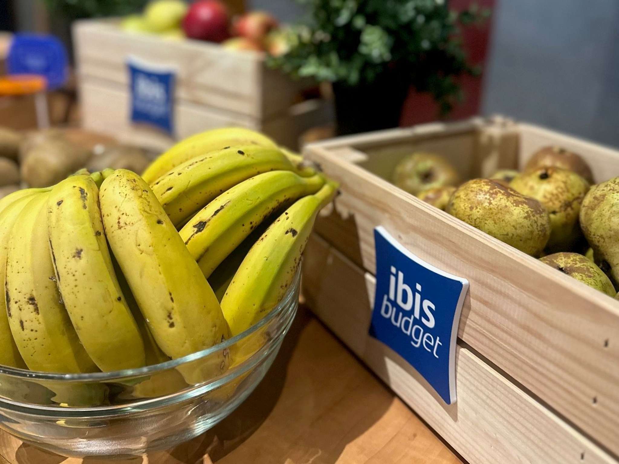 Photo - Ibis Budget Madrid Alcorcón Móstoles