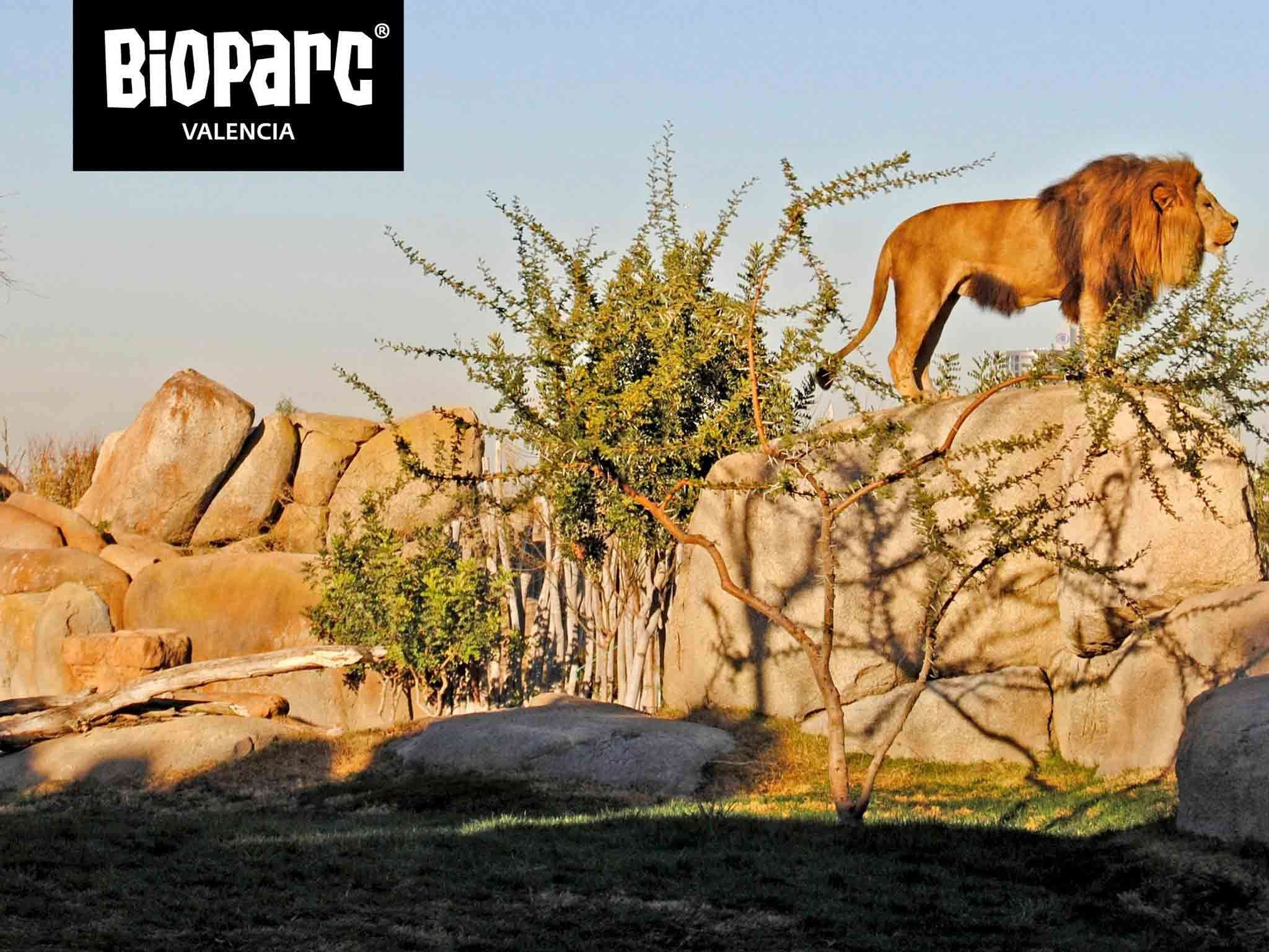 Foto - Ibis Budget Valencia Aeropuerto