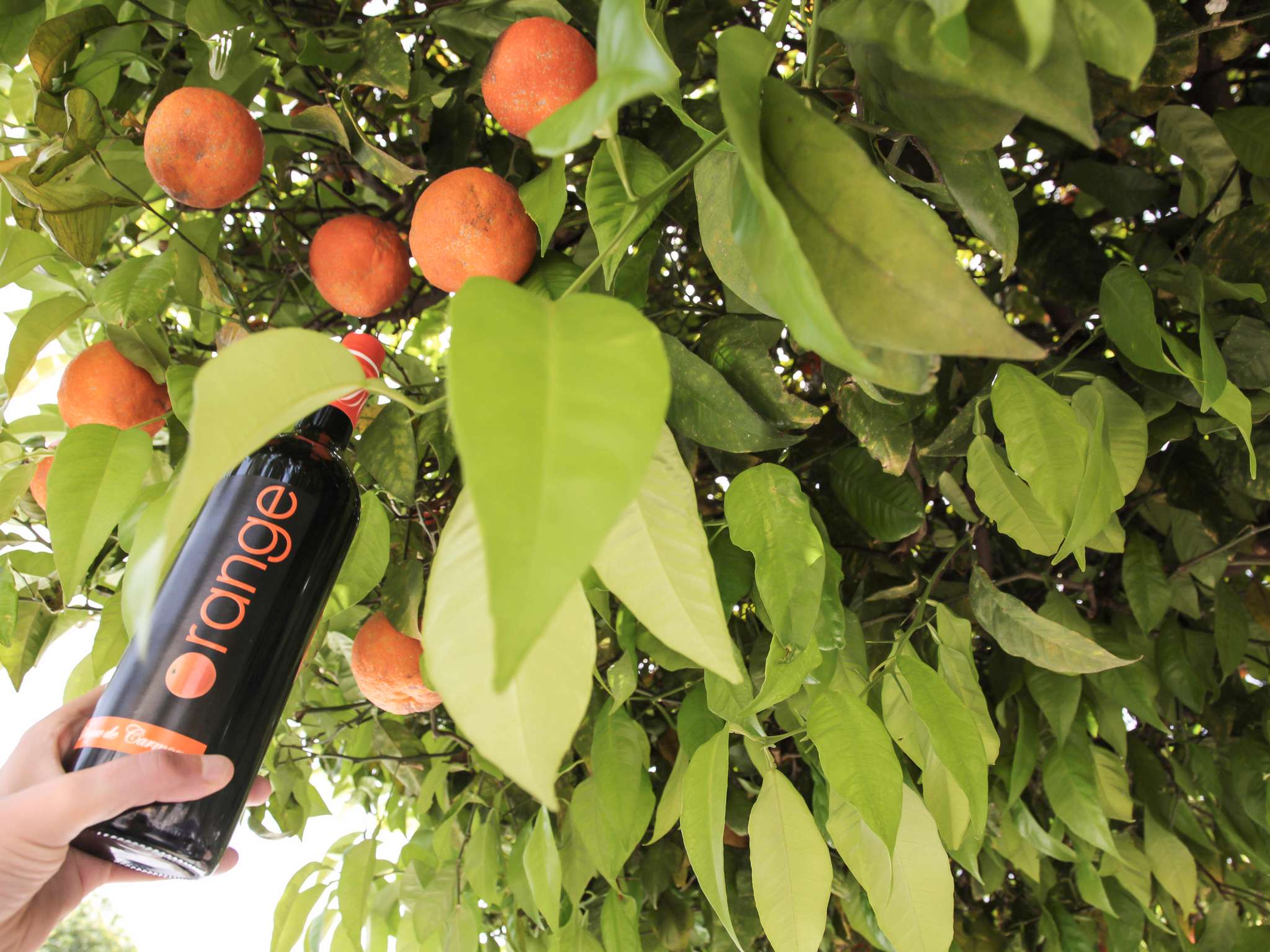 Photo - Ibis Budget Sevilla Aeropuerto