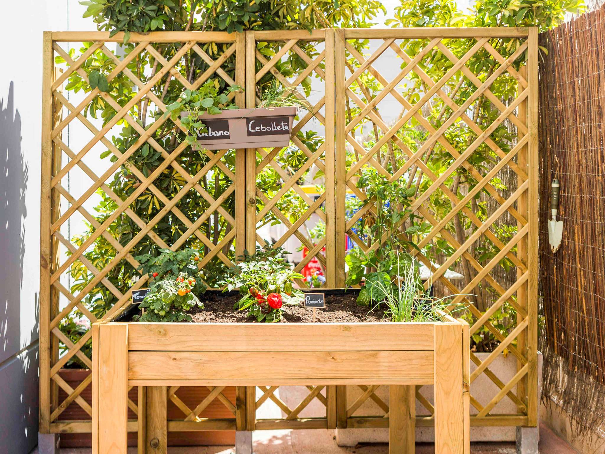 Photo - Ibis Barcelona Castelldefels