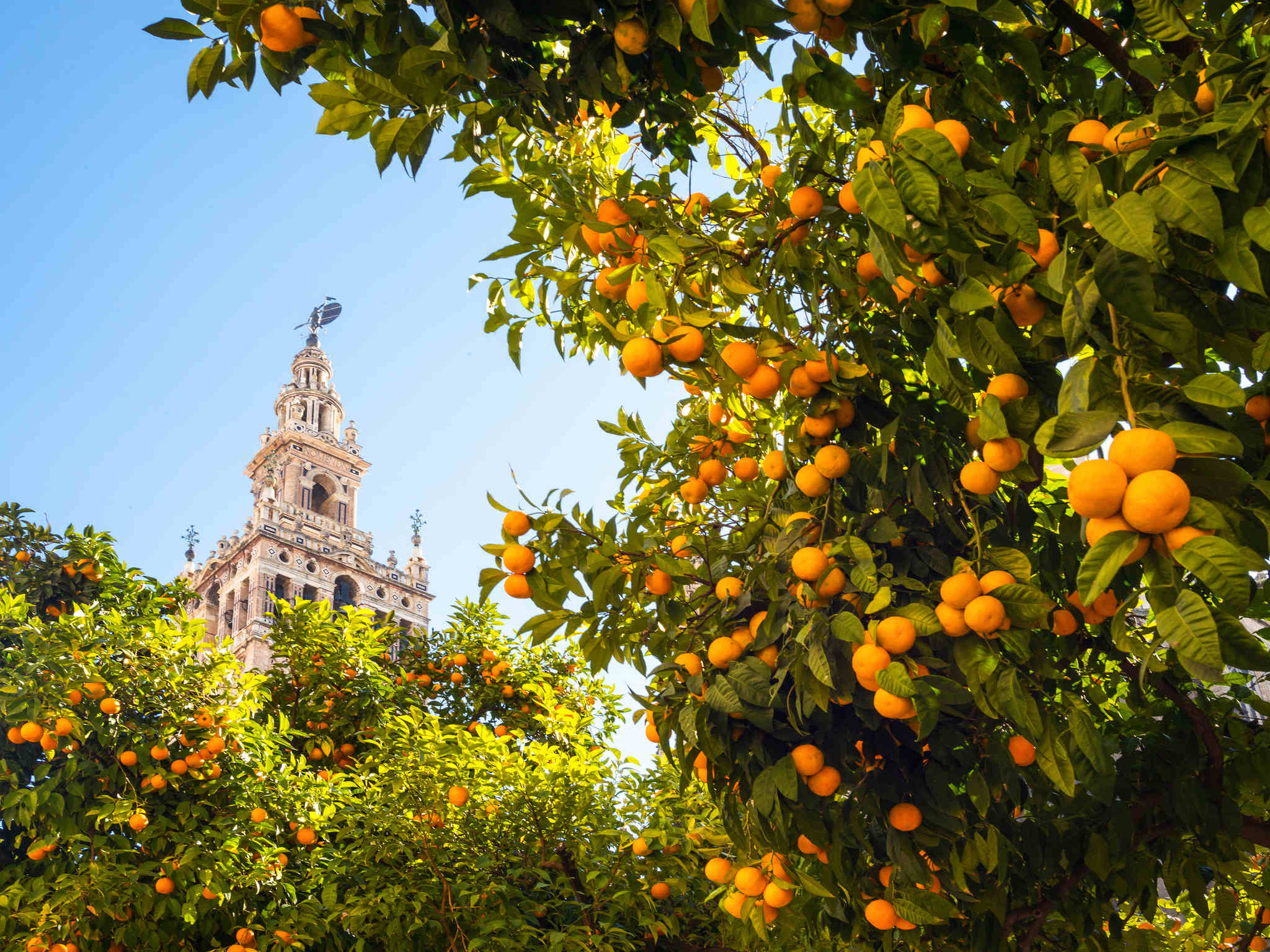 Photo - Novotel Sevilla