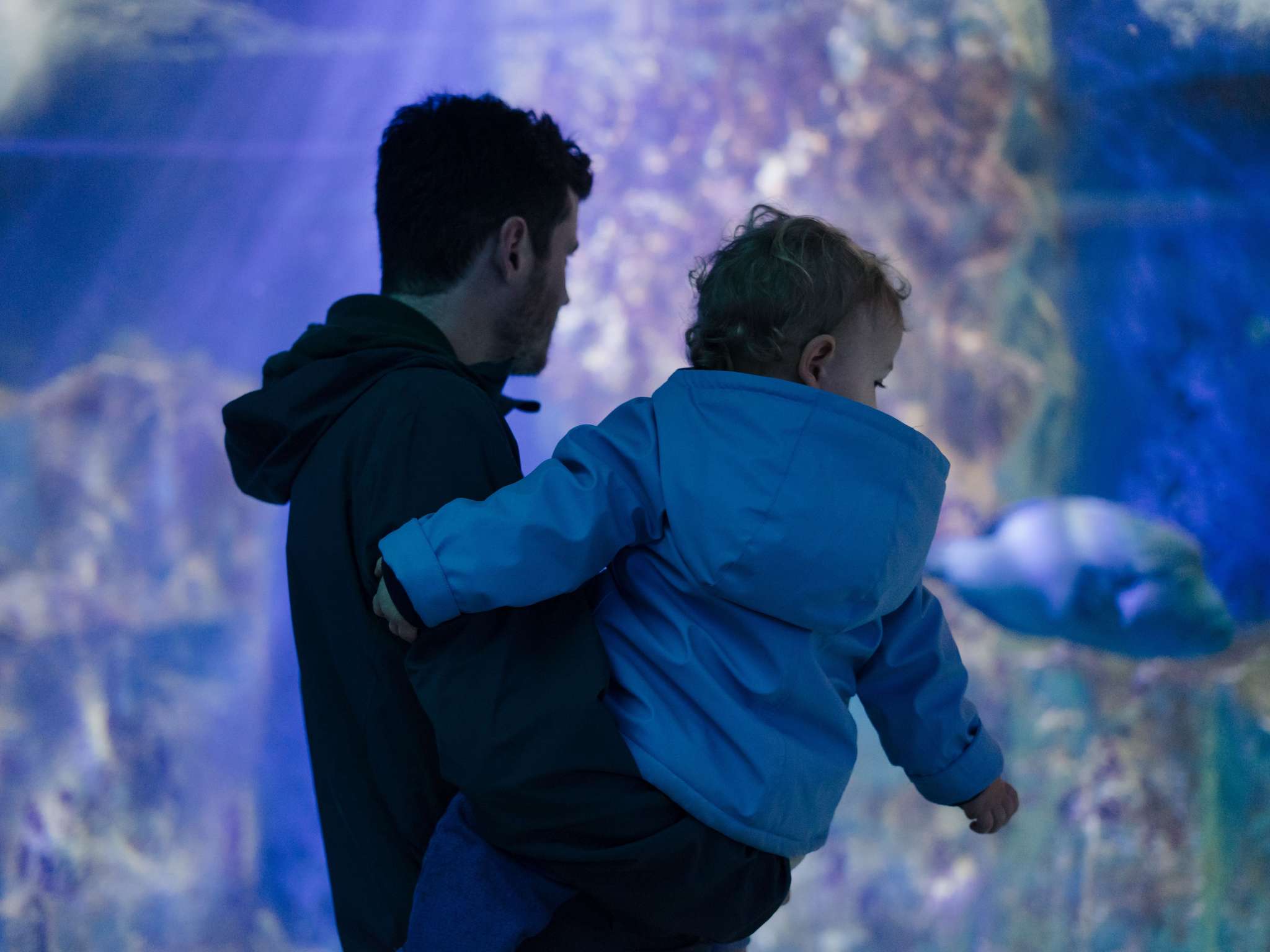 Foto - Mercure St Malo Front de Mer