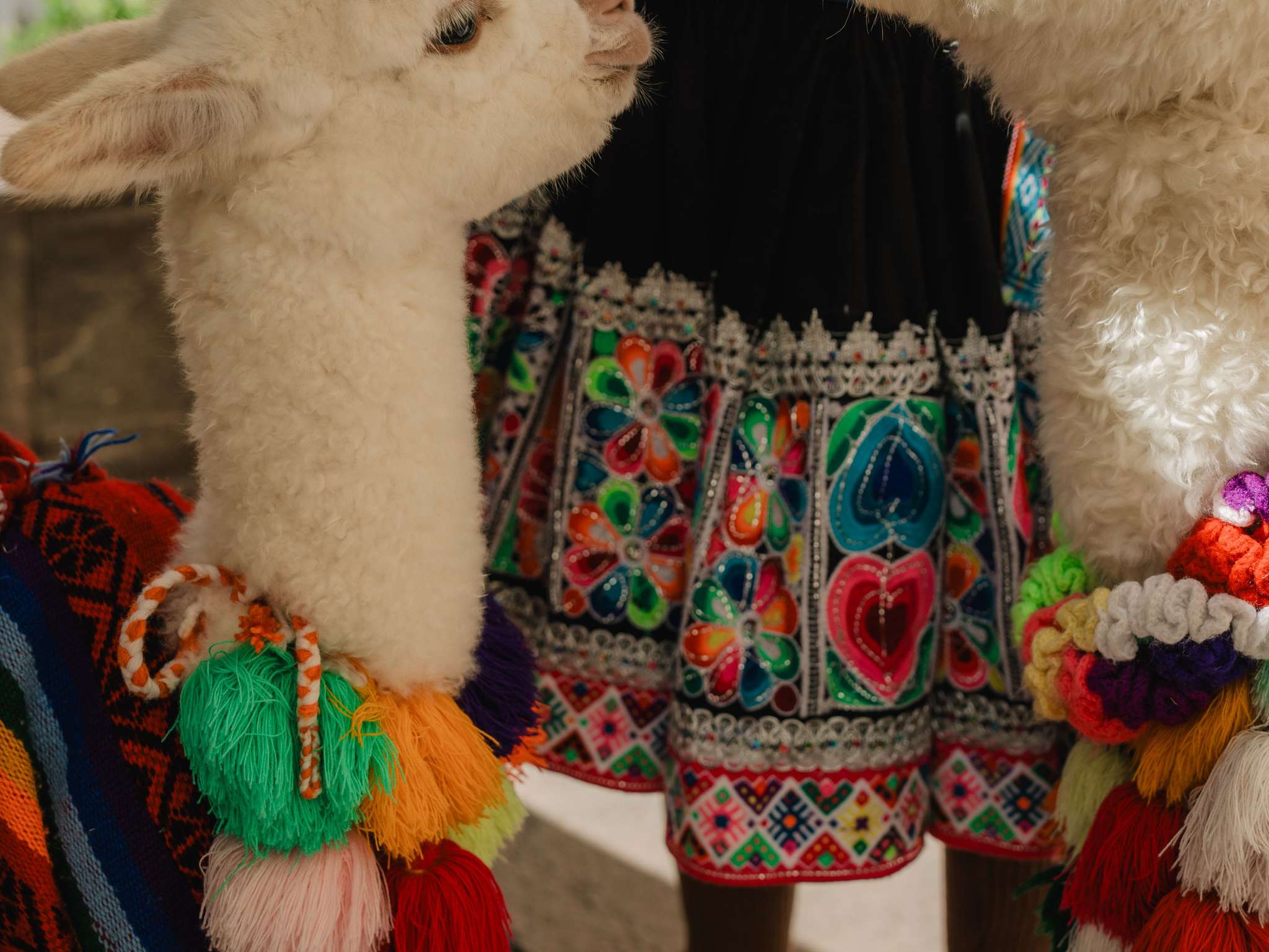 Foto - Novotel Cusco