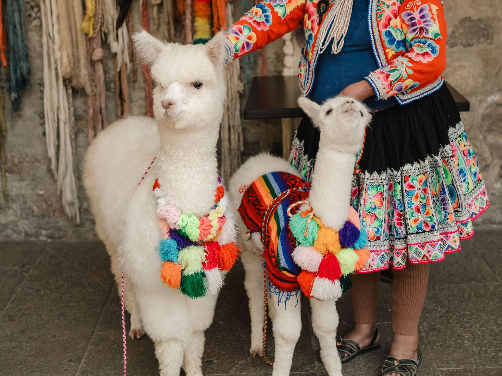 Foto - Novotel Cusco