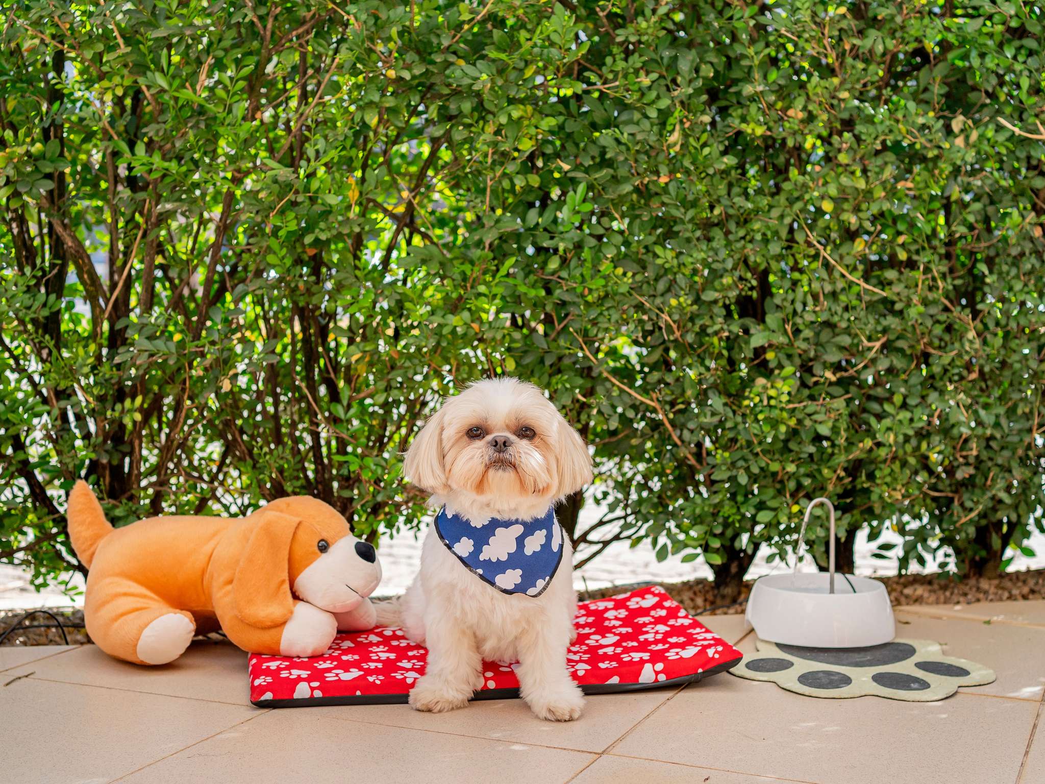 Photo - ibis Piracicaba