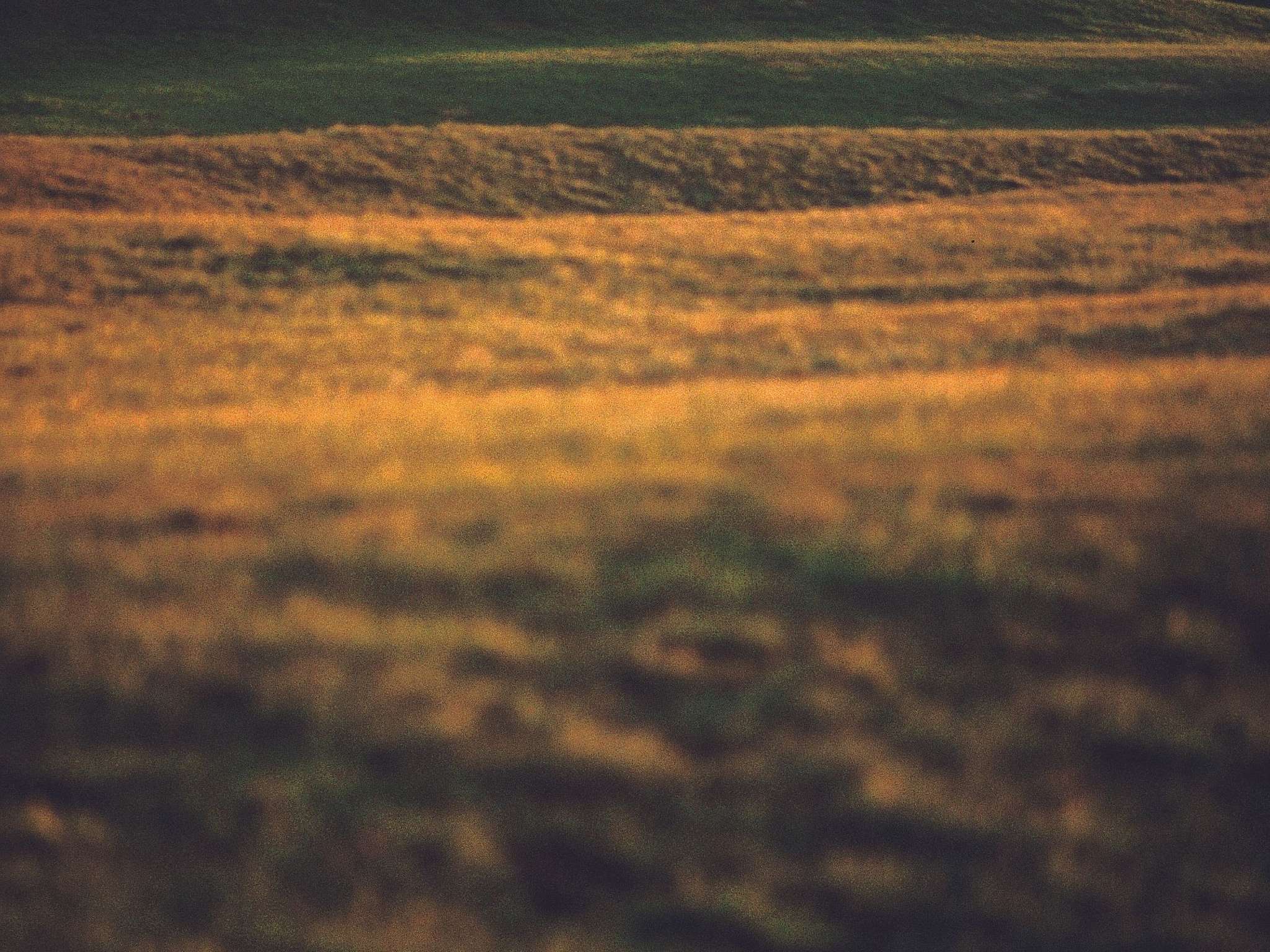 Photo - Novotel München City