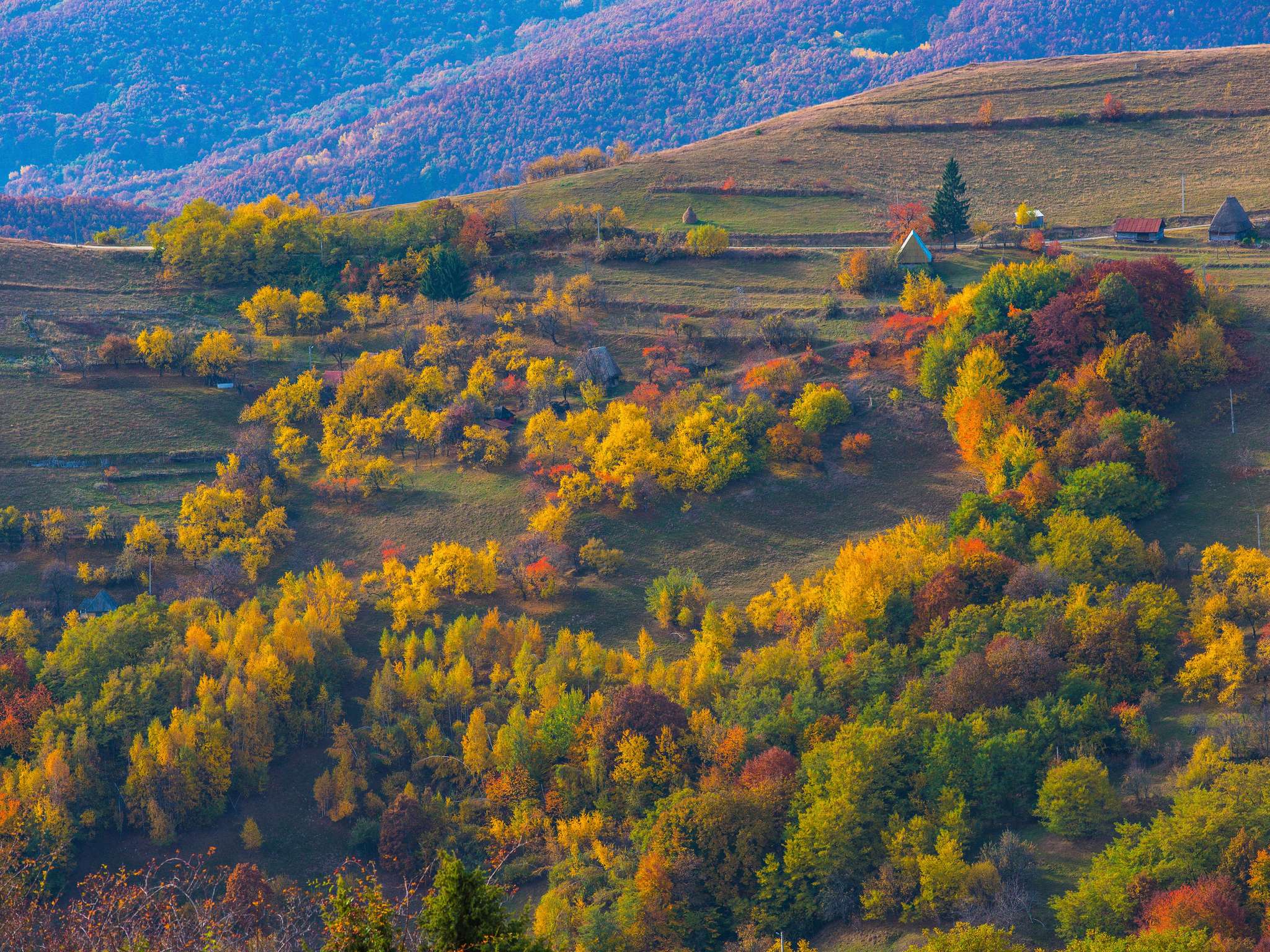 Foto - Novotel München City