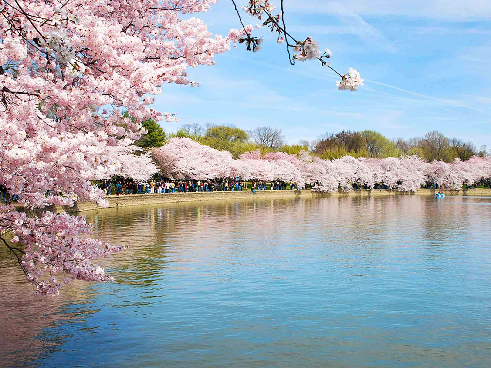 Photo - Sofitel Lafayette Square Washington DC