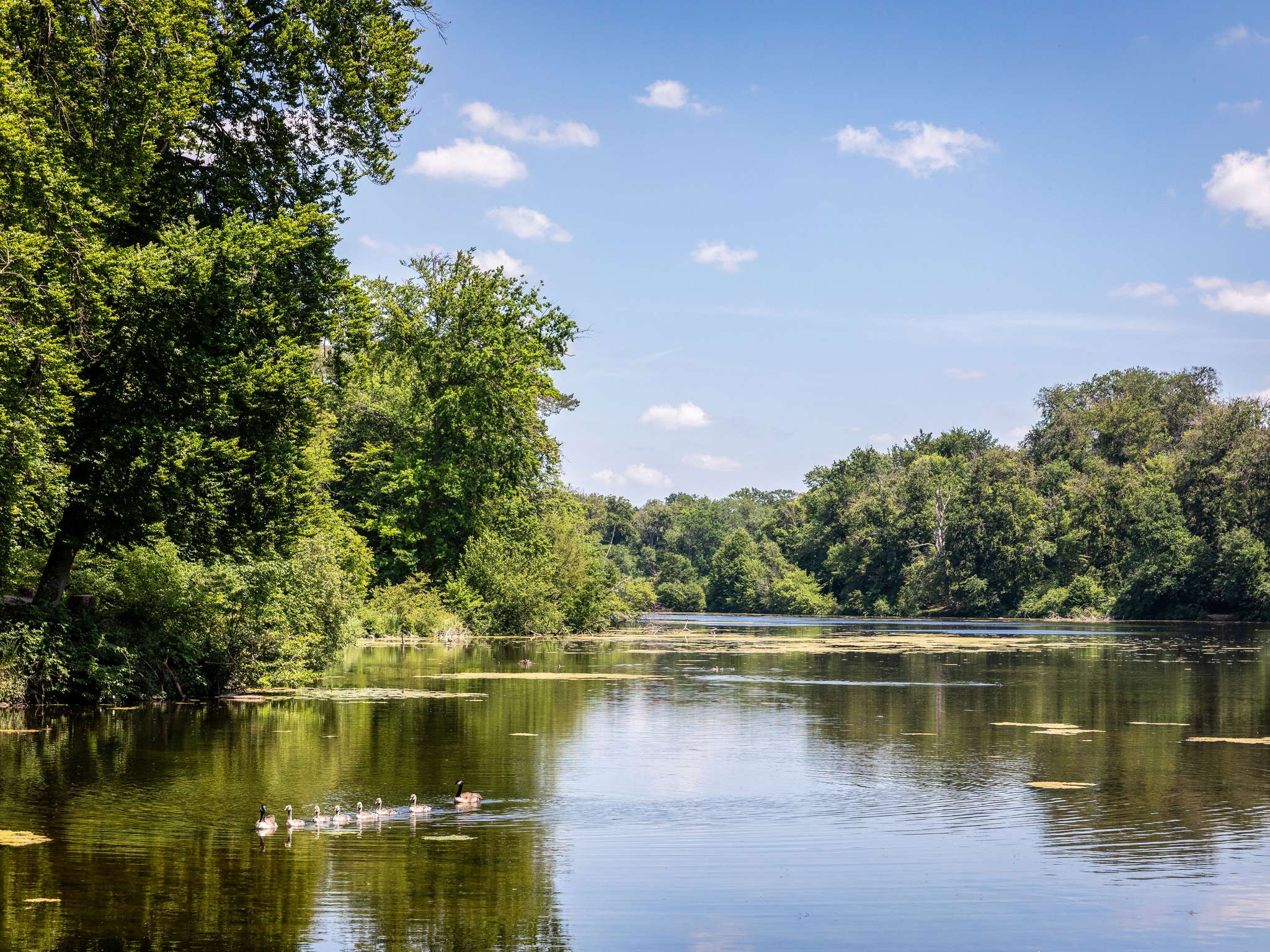 Foto - ibis Paris La Defense Courbevoie