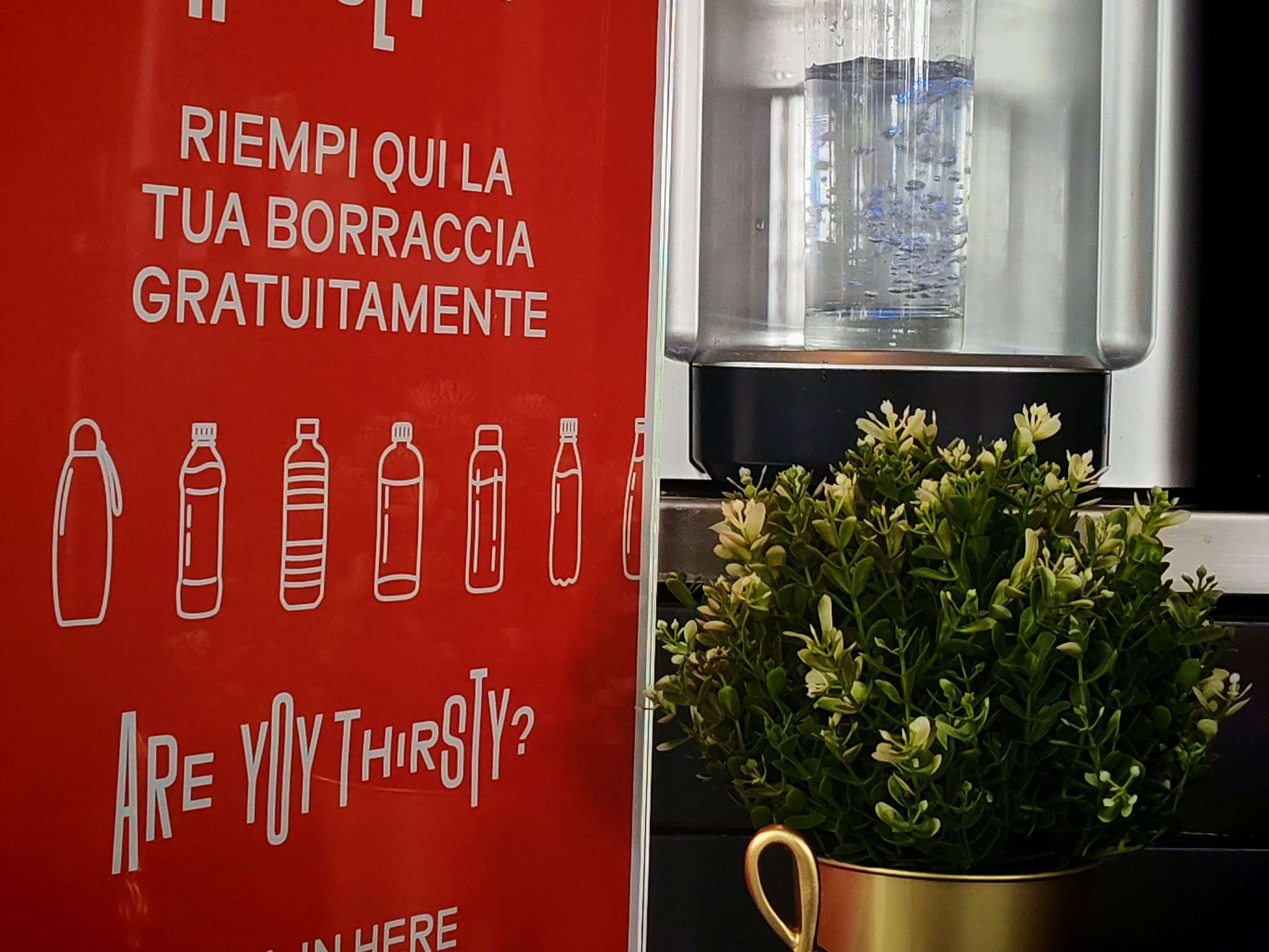 Foto - Hotel Ibis Firenze Prato Est