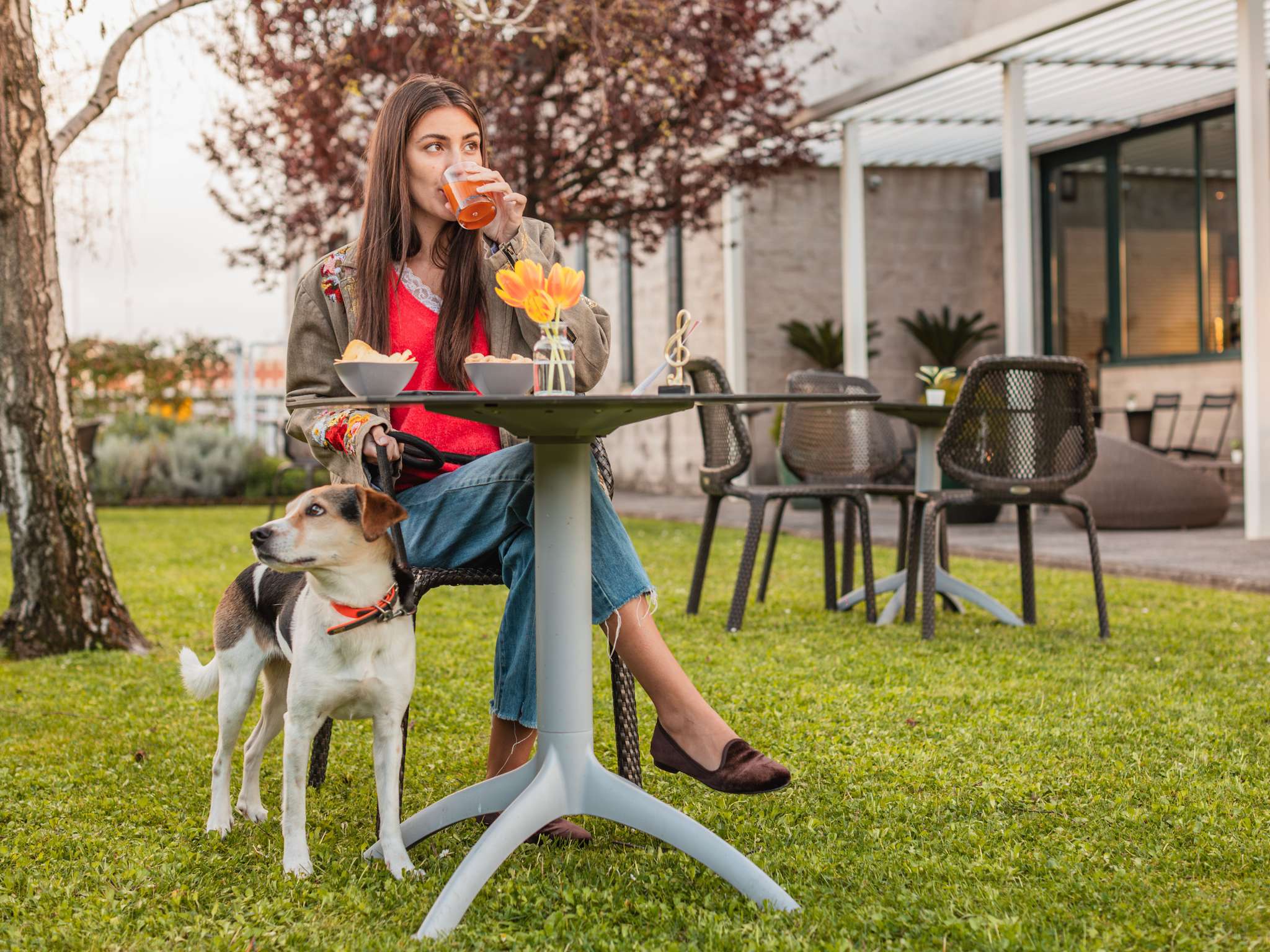 Foto - Hotel Ibis Firenze Prato Est