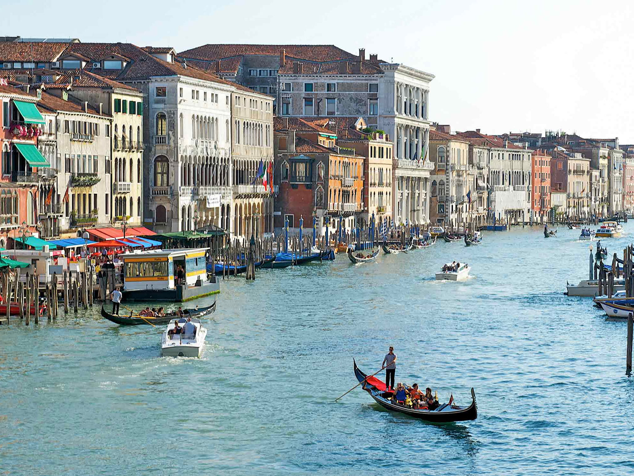 Best Restaurants In Venice Italy Tripadvisor Best Restaurants In Venice Italy Tripadvisor