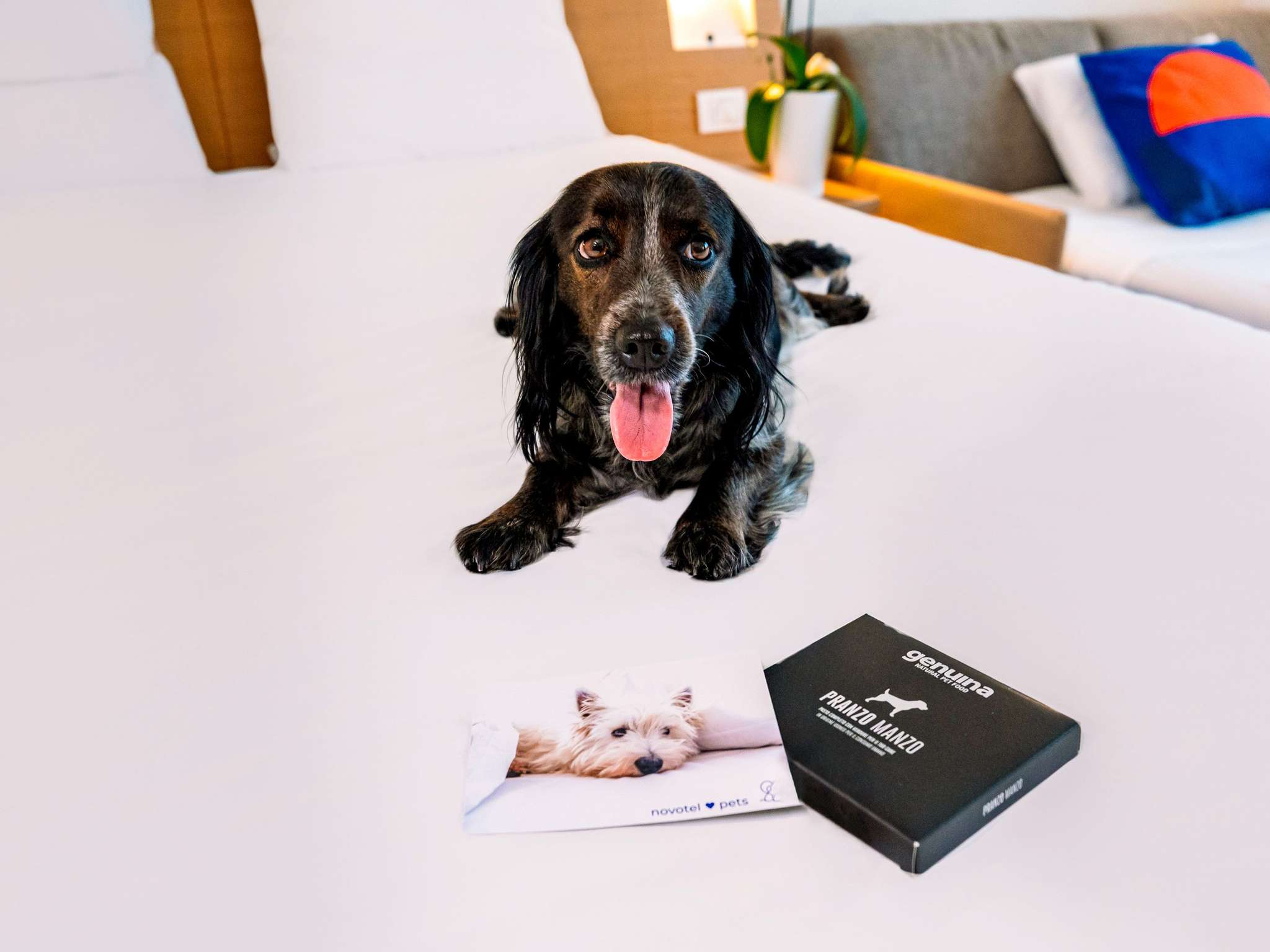 Foto - Novotel Venezia Mestre Castellana