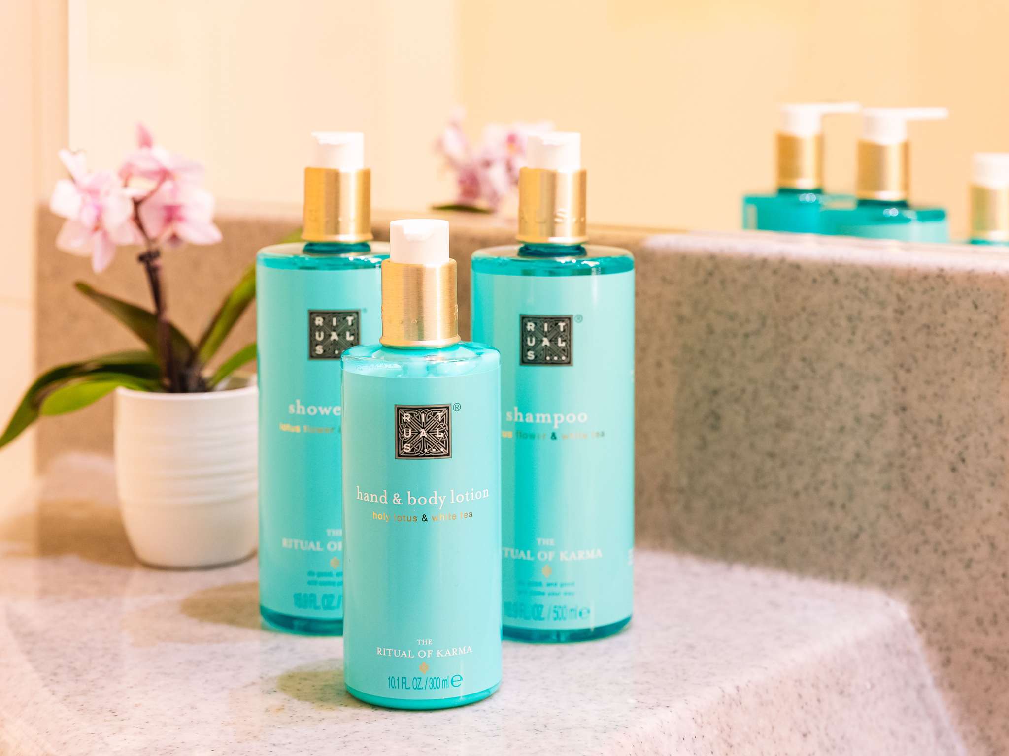 Foto - Novotel Venezia Mestre Castellana