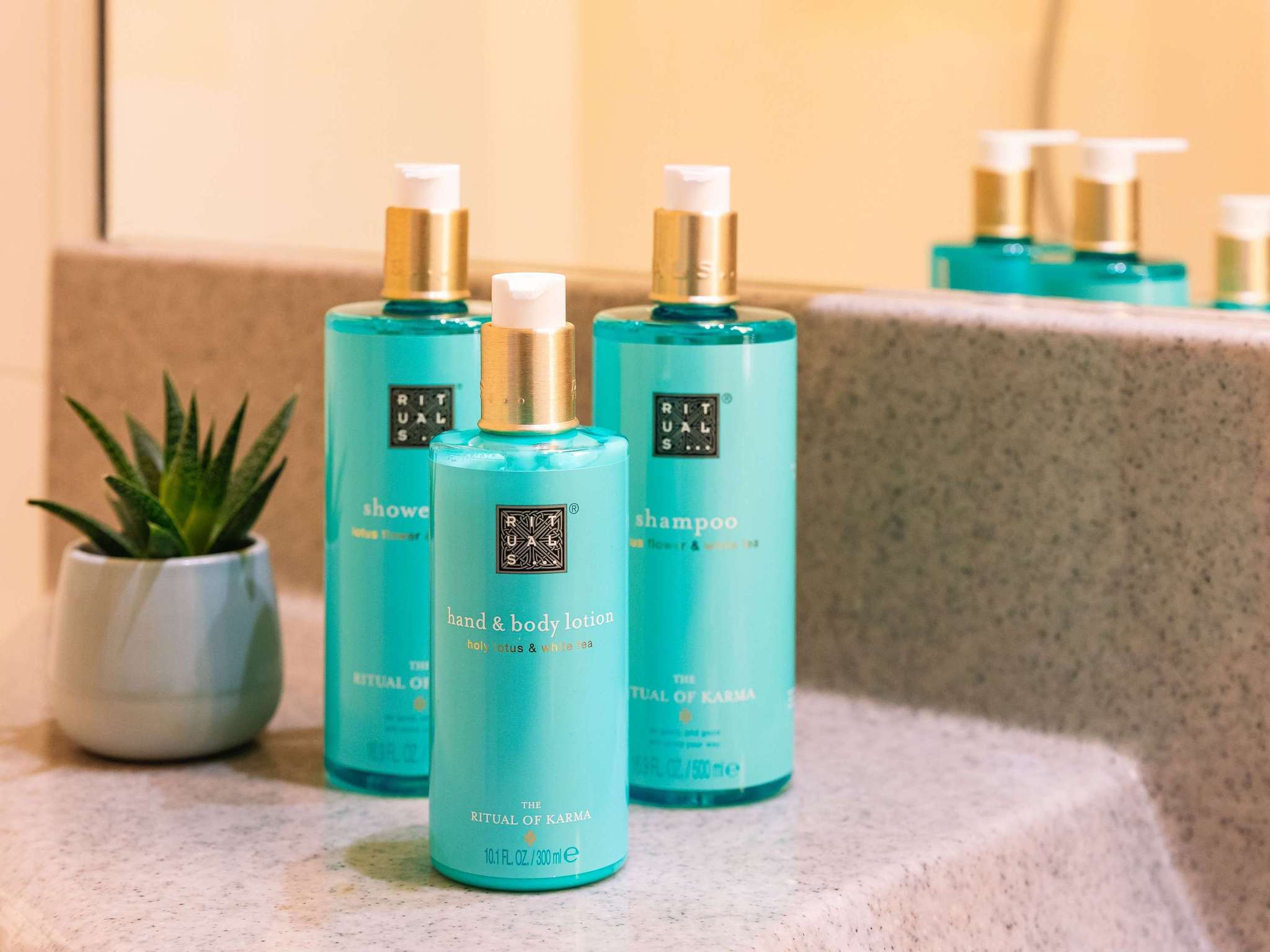 Foto - Novotel Venezia Mestre Castellana