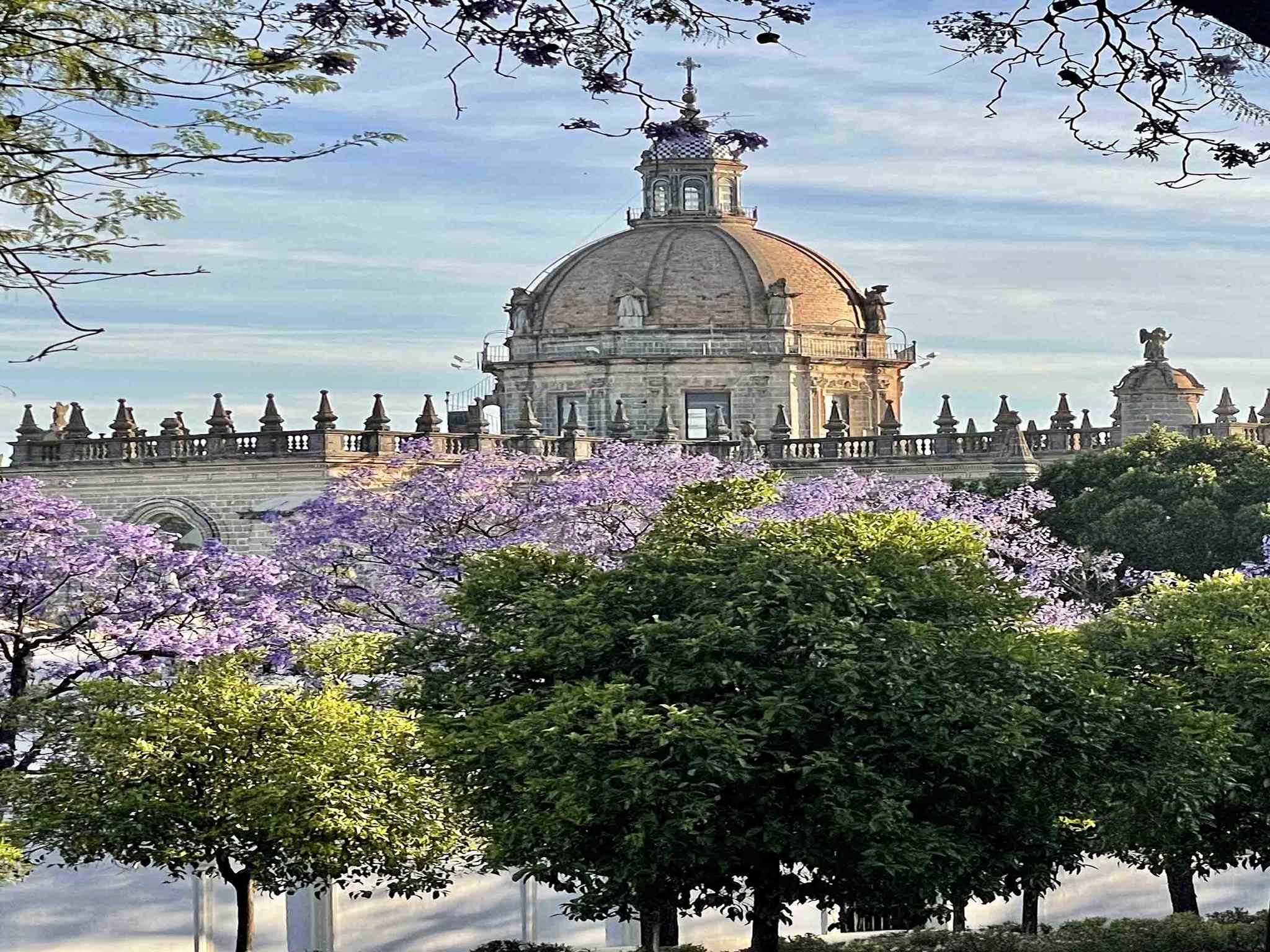 Foto - Ibis Jerez De La Frontera Cadiz