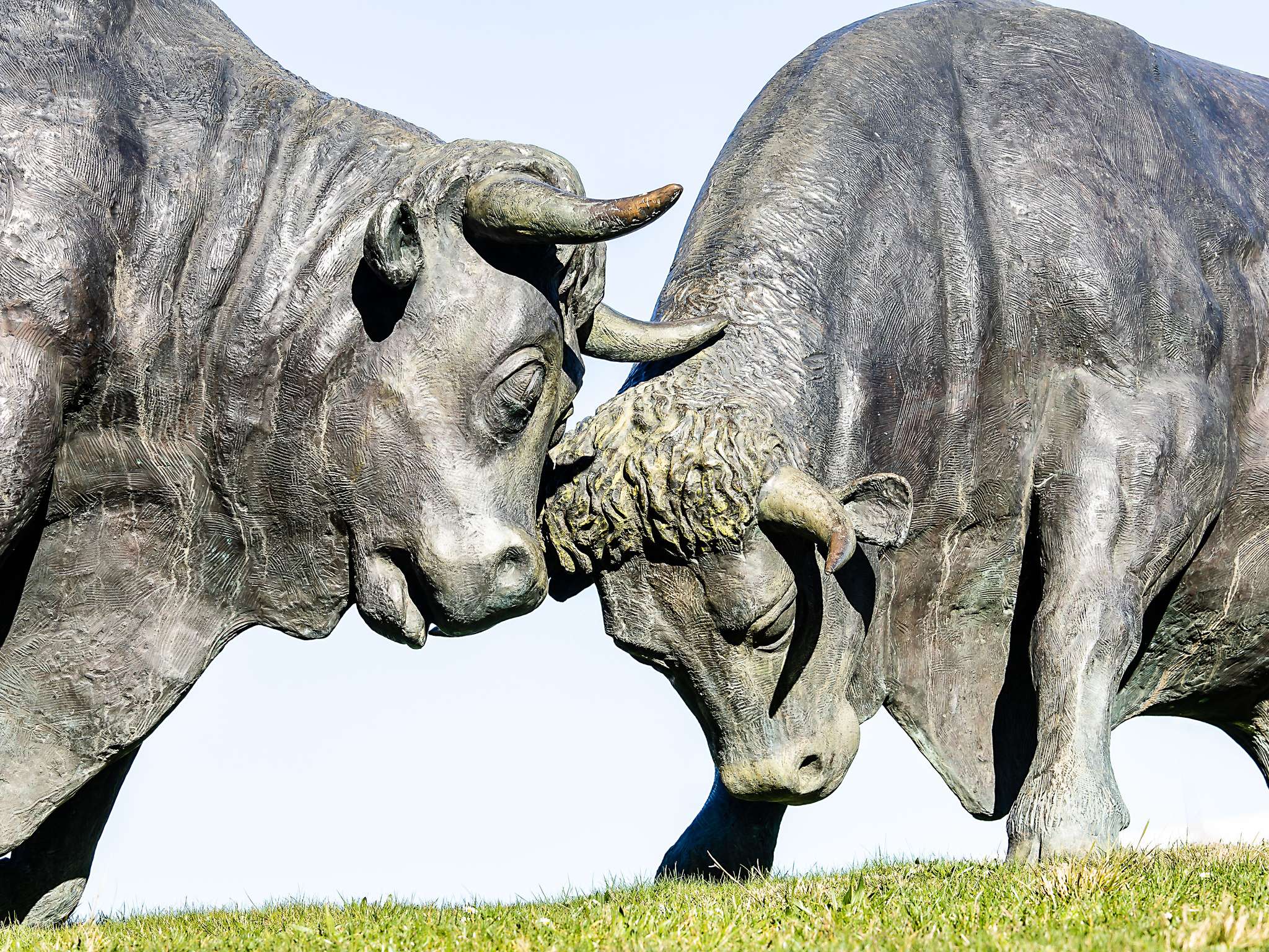 Foto - Hotel ibis Bragança