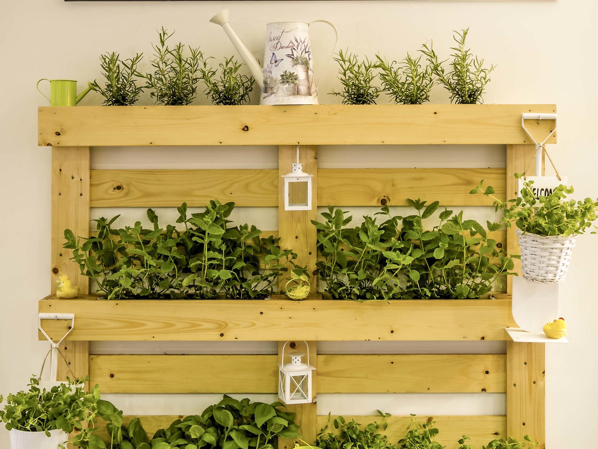 Foto - ibis Porto Centro São Bento