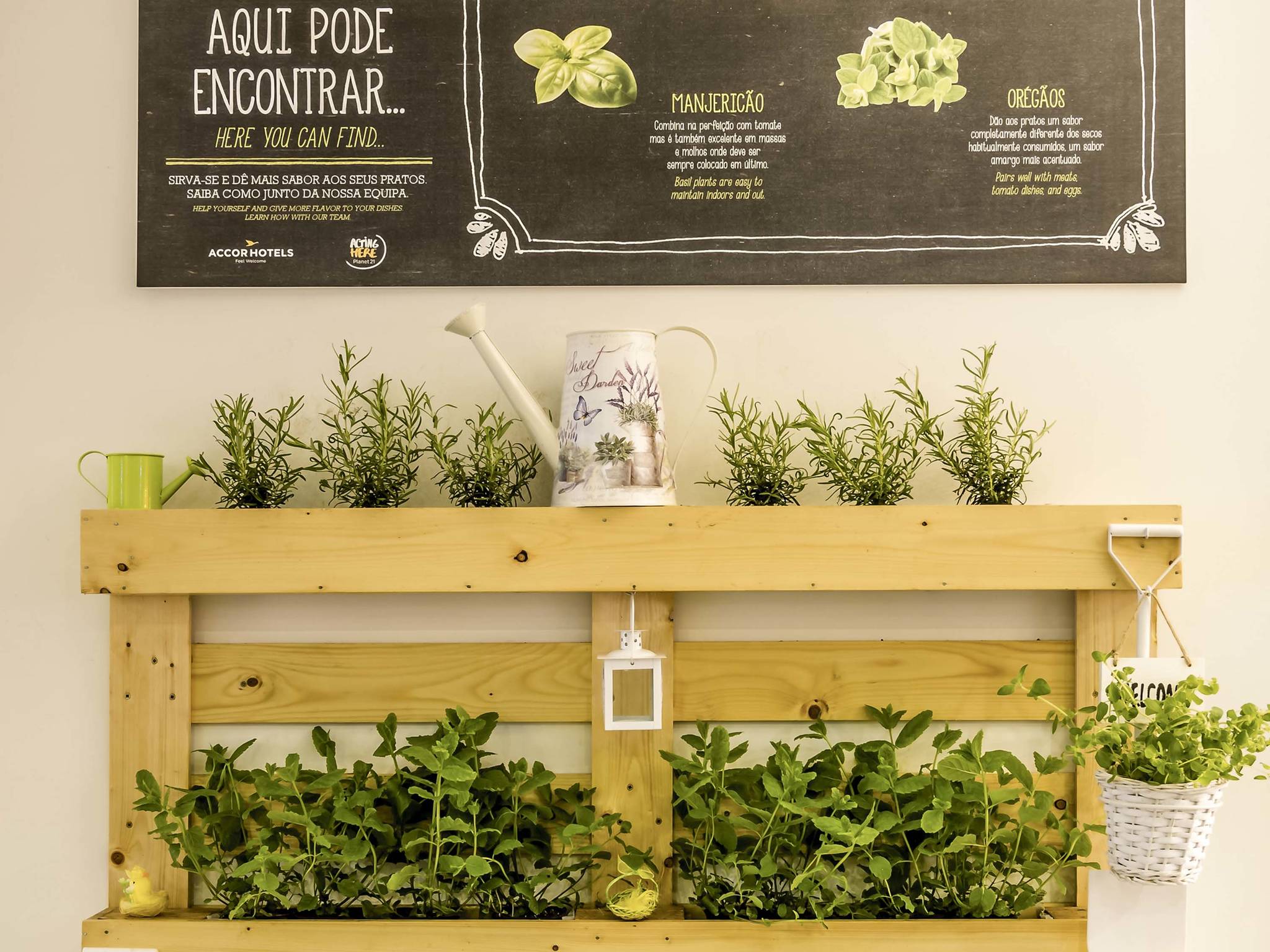 Foto - ibis Porto Centro São Bento