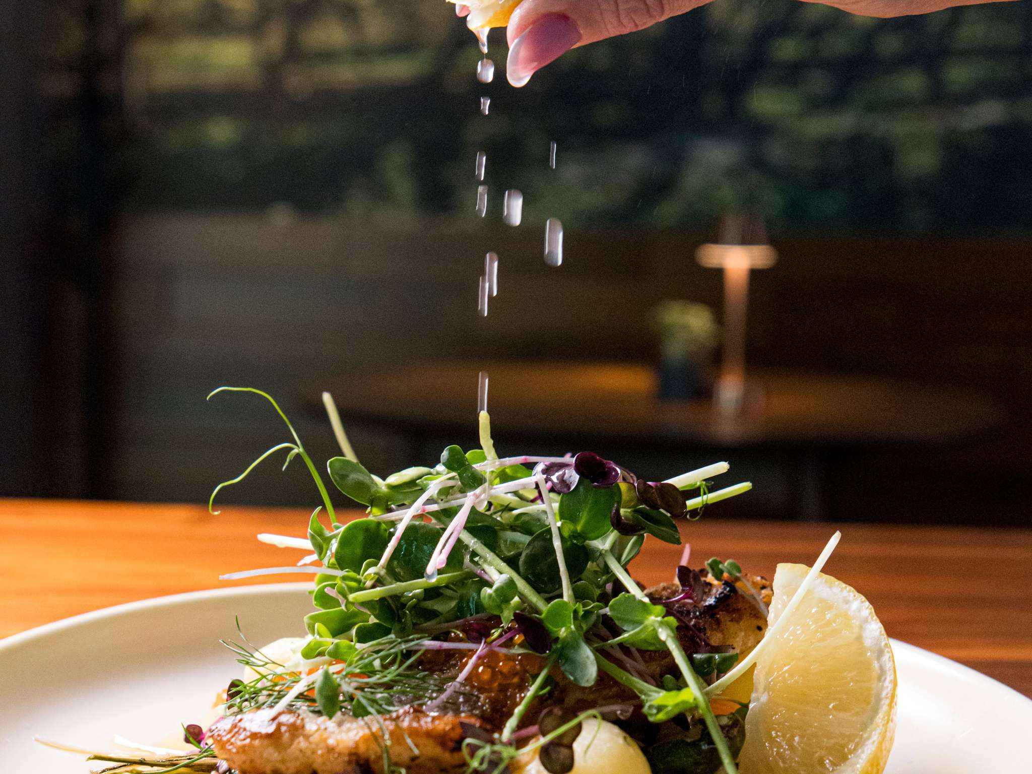 Photo - Mercure Wrocław Centrum