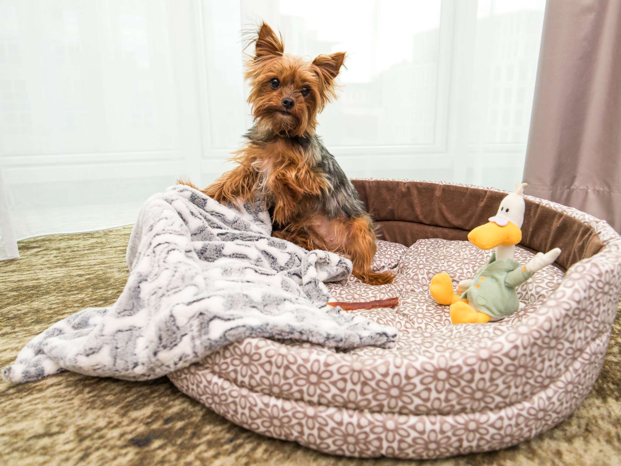 Photo - Mercure Wrocław Centrum