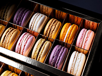 Foto - Sofitel Grand Sopot