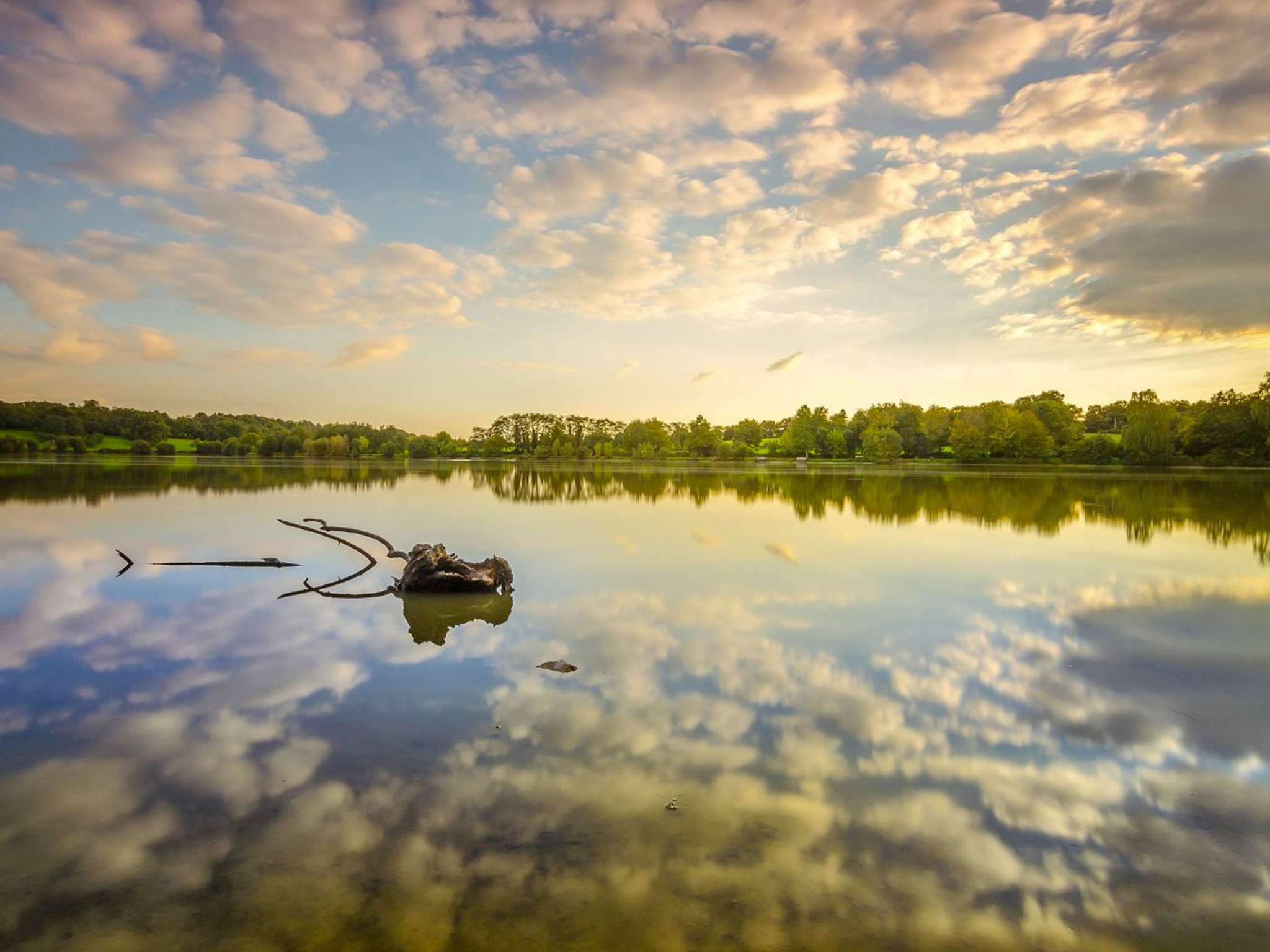 Foto - ibis Nantes Saint Herblain