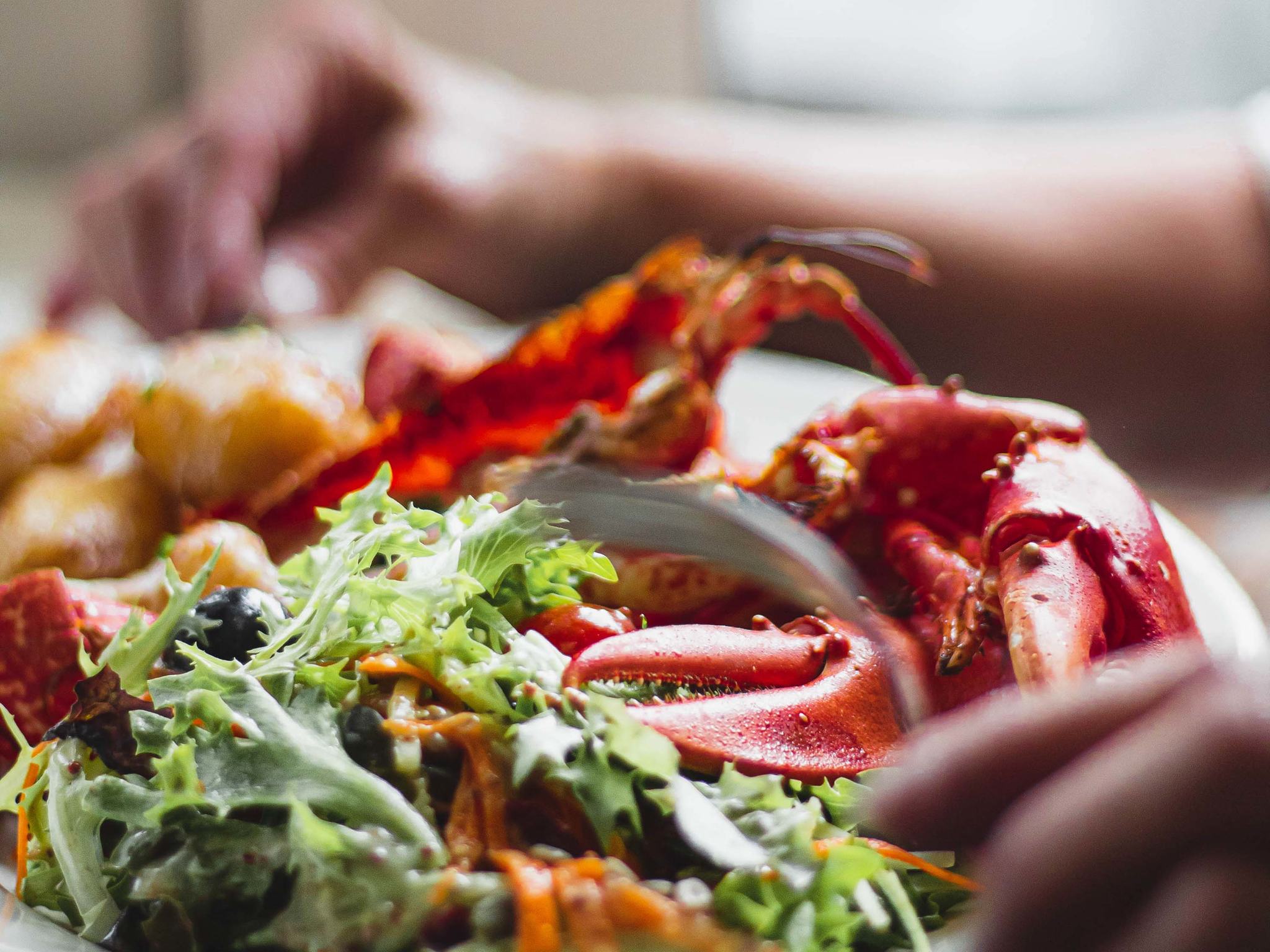 Foto - ibis Nantes Saint Herblain