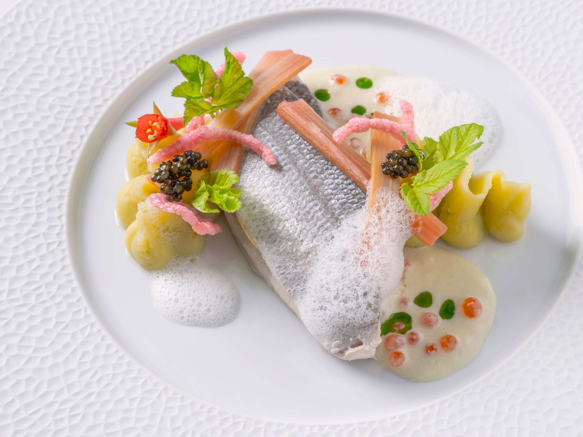 Foto - Century Old Town Prague - MGallery Collection