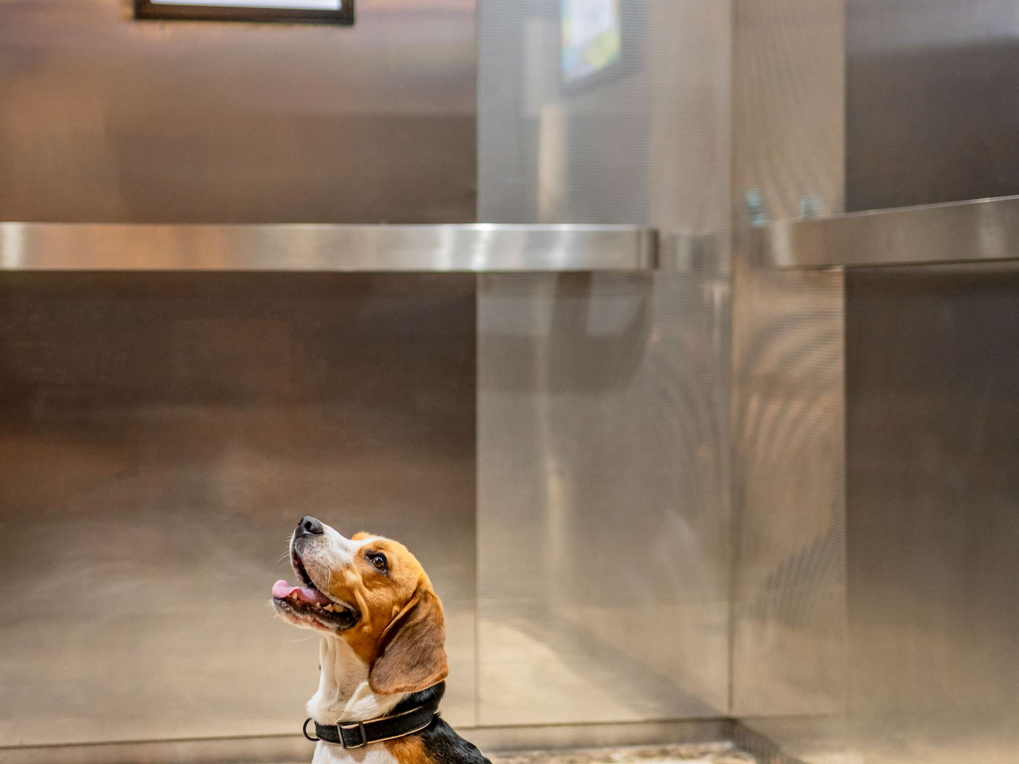 Foto - ibis Carlisle City Centre