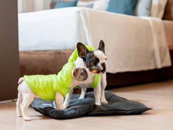 Foto - Mercure Sao Paulo Moema Times Square