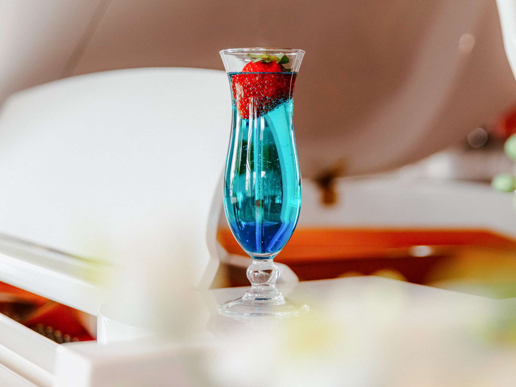 Foto - Mercure Nevers Pont De Loire