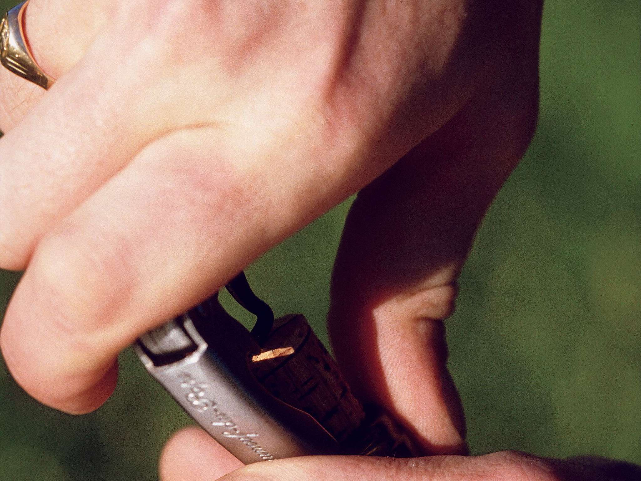 Photo - Mercure Nevers Pont De Loire