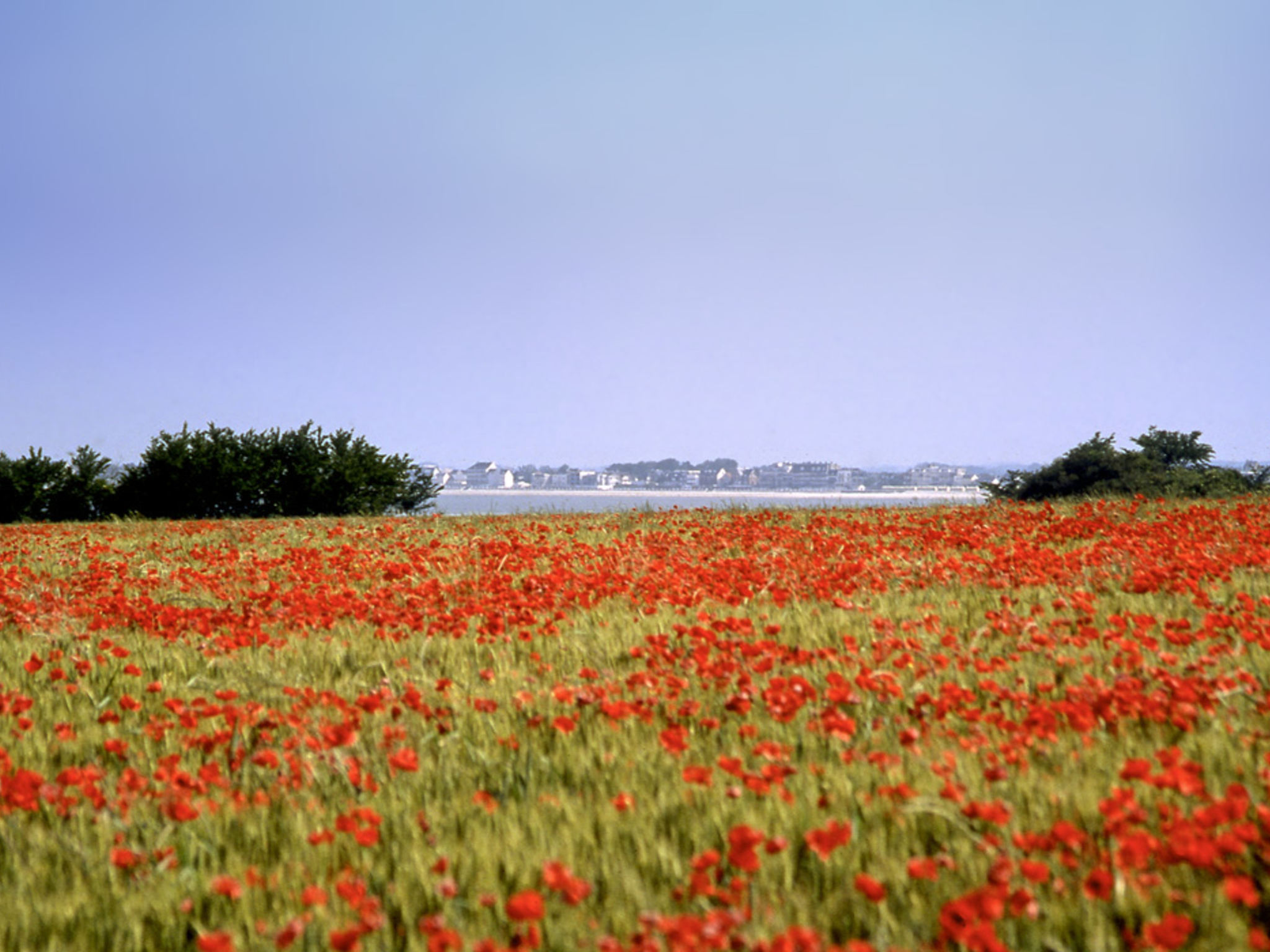 Photo - Hotel Ibis Budget Abbeville