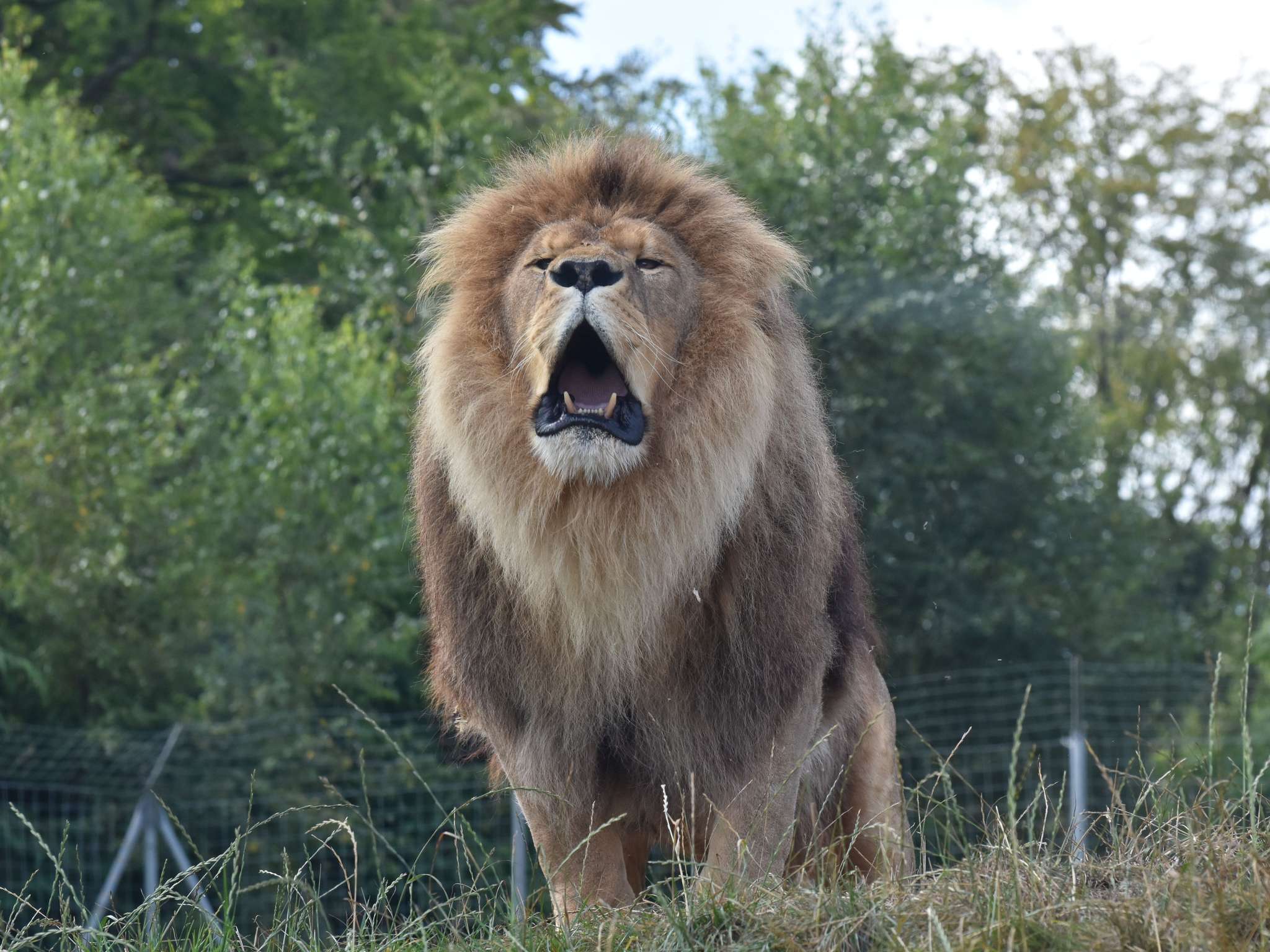 Photo - ibis budget Lisieux