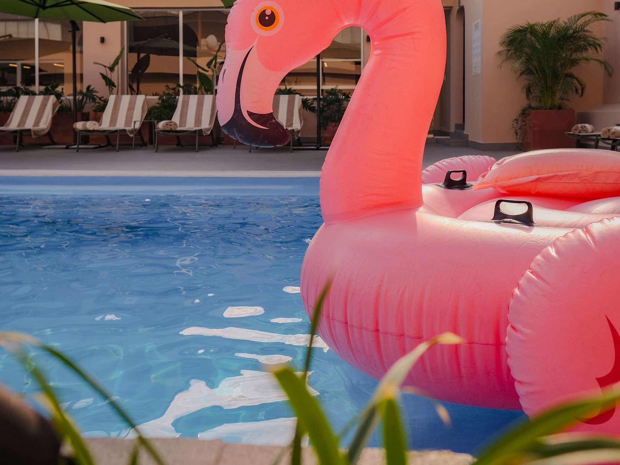 Foto - Novotel Mexico City Santa Fe