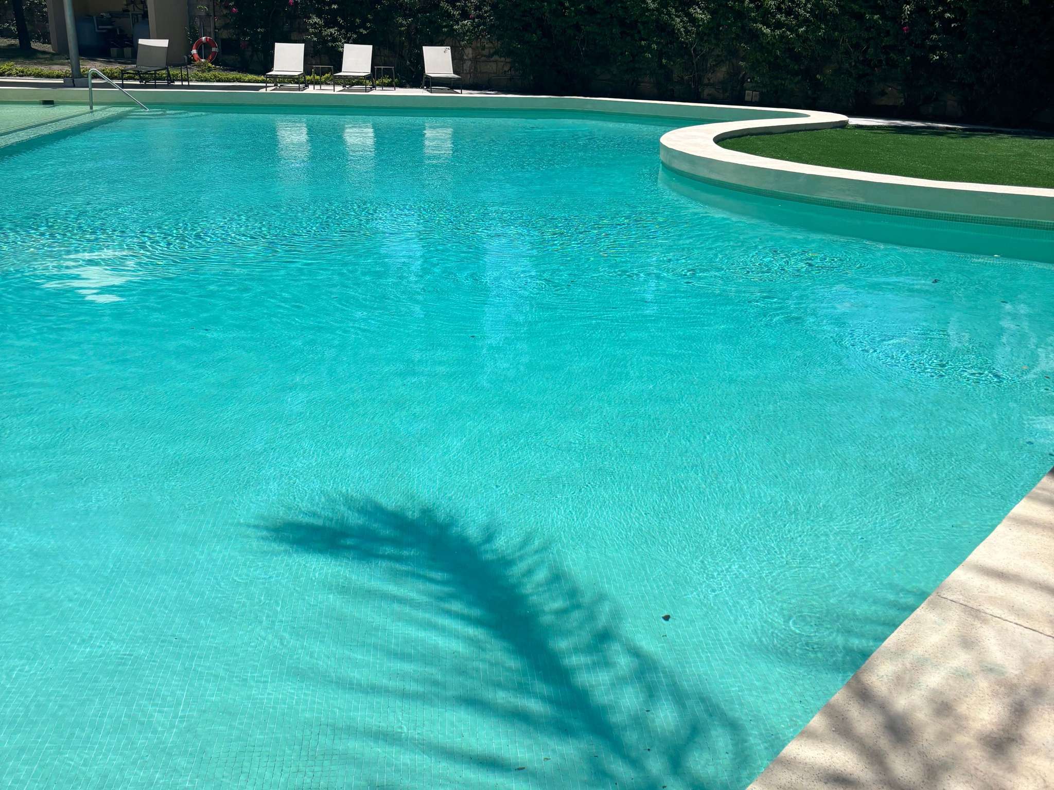 Foto - Novotel Monterrey Valle