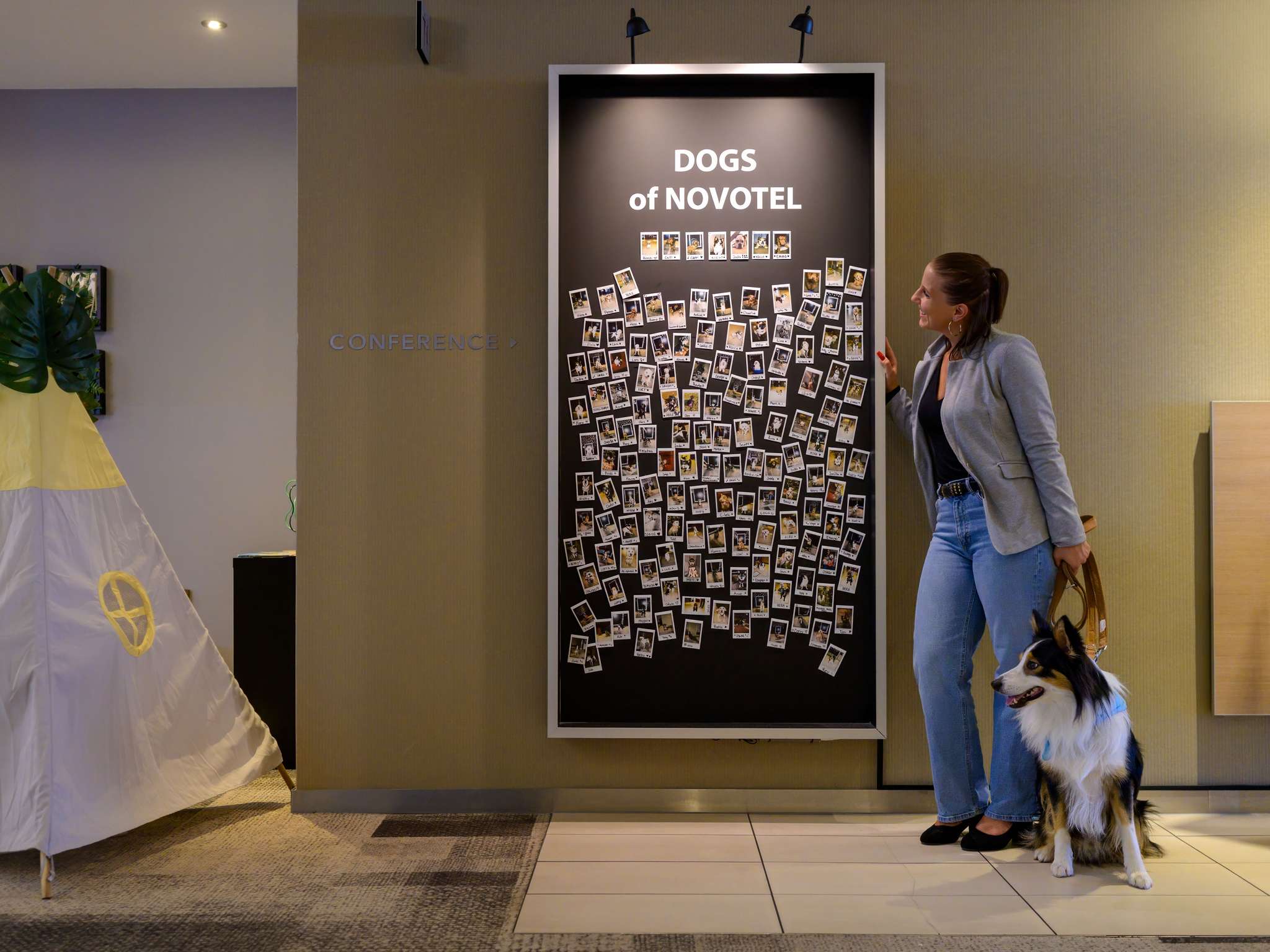 Foto - Novotel Aachen City