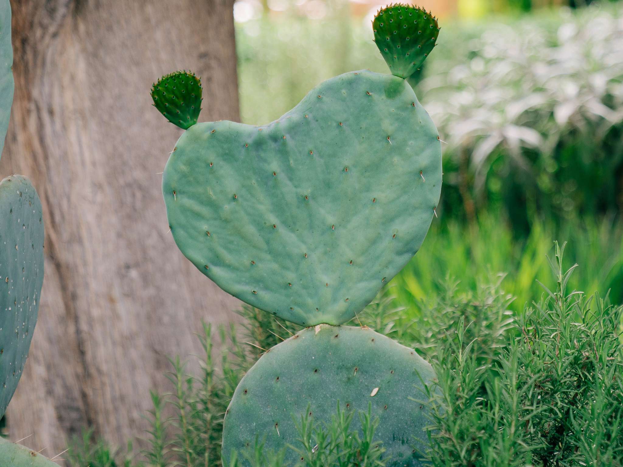 Photo - Sofitel Marrakech Palais Impérial & Spa