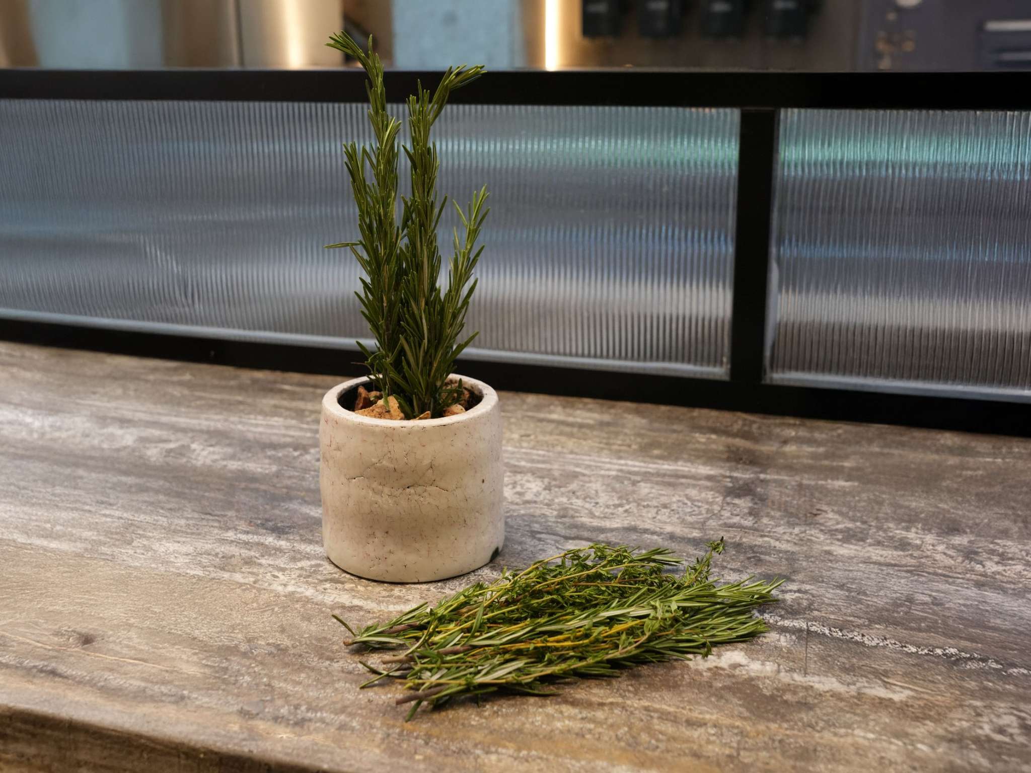 Foto - ibis Dubai World Trade Centre