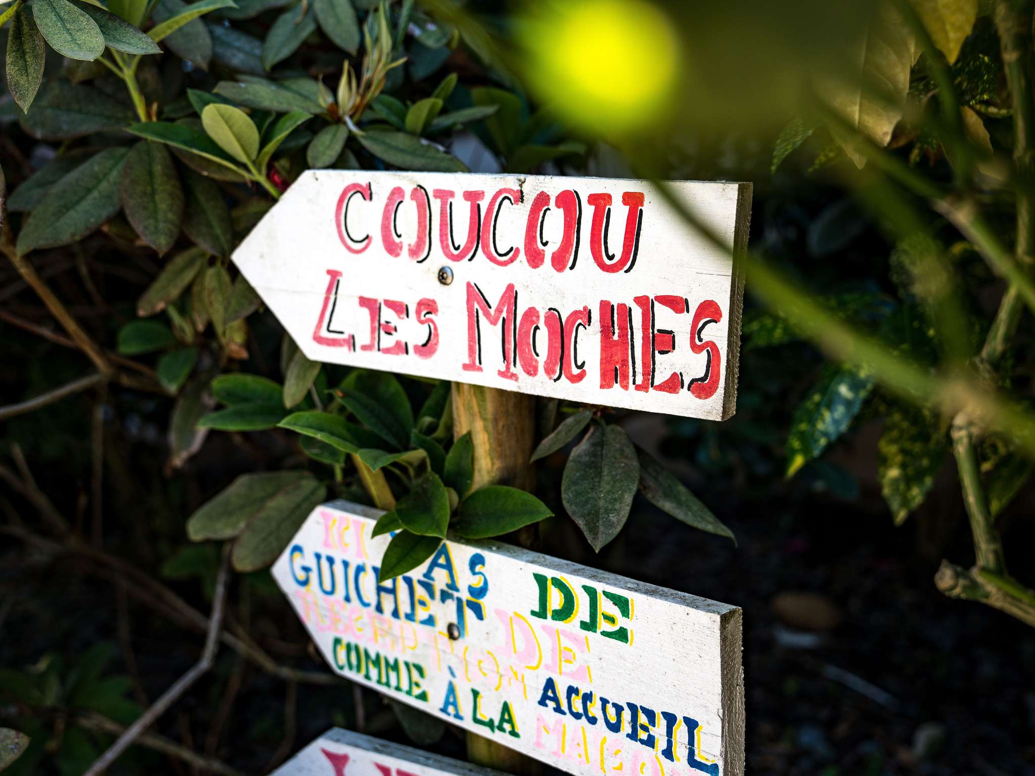 Photo - ibis Arcachon la Teste de Buch