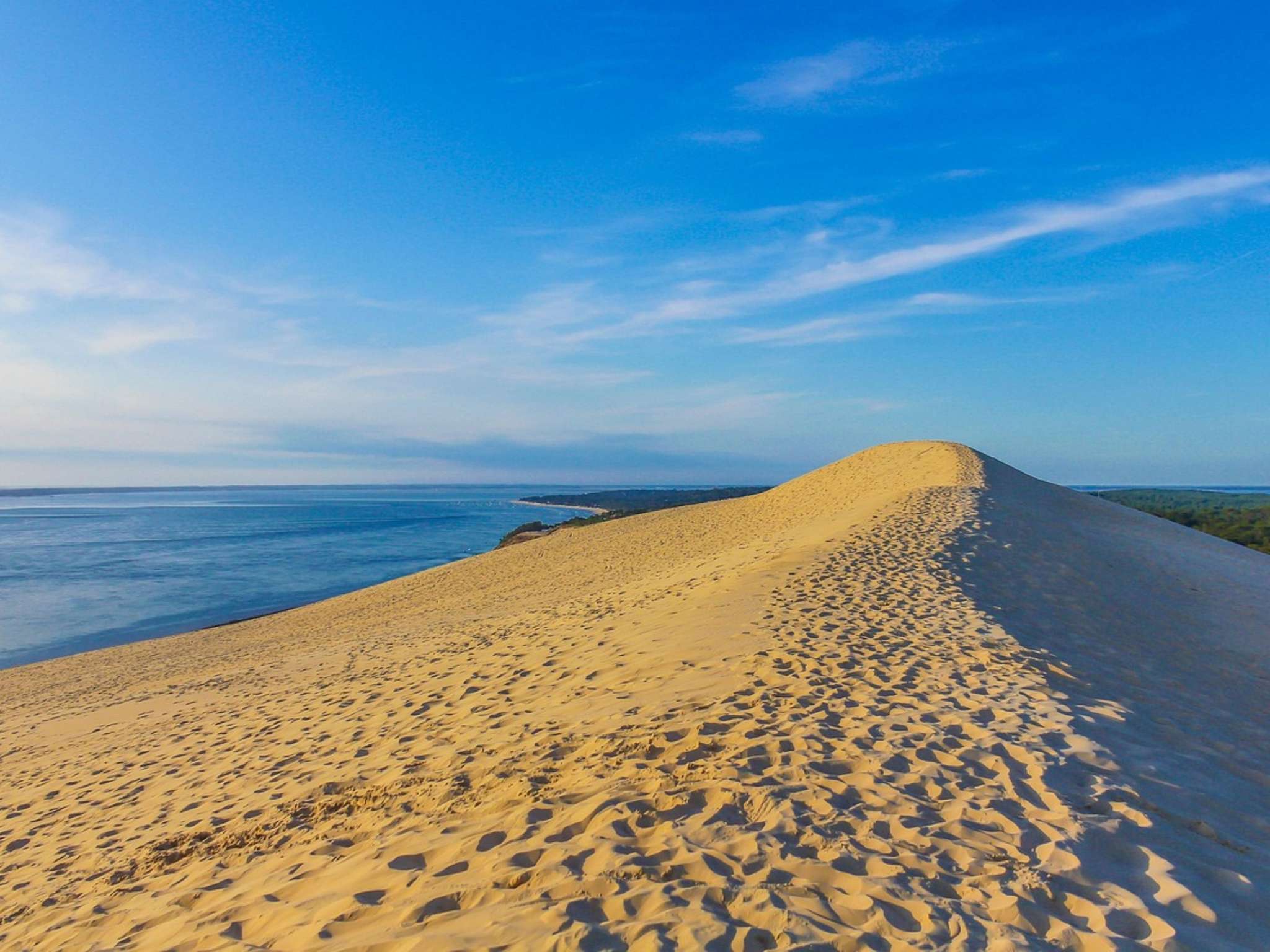 Photo - ibis Arcachon la Teste de Buch