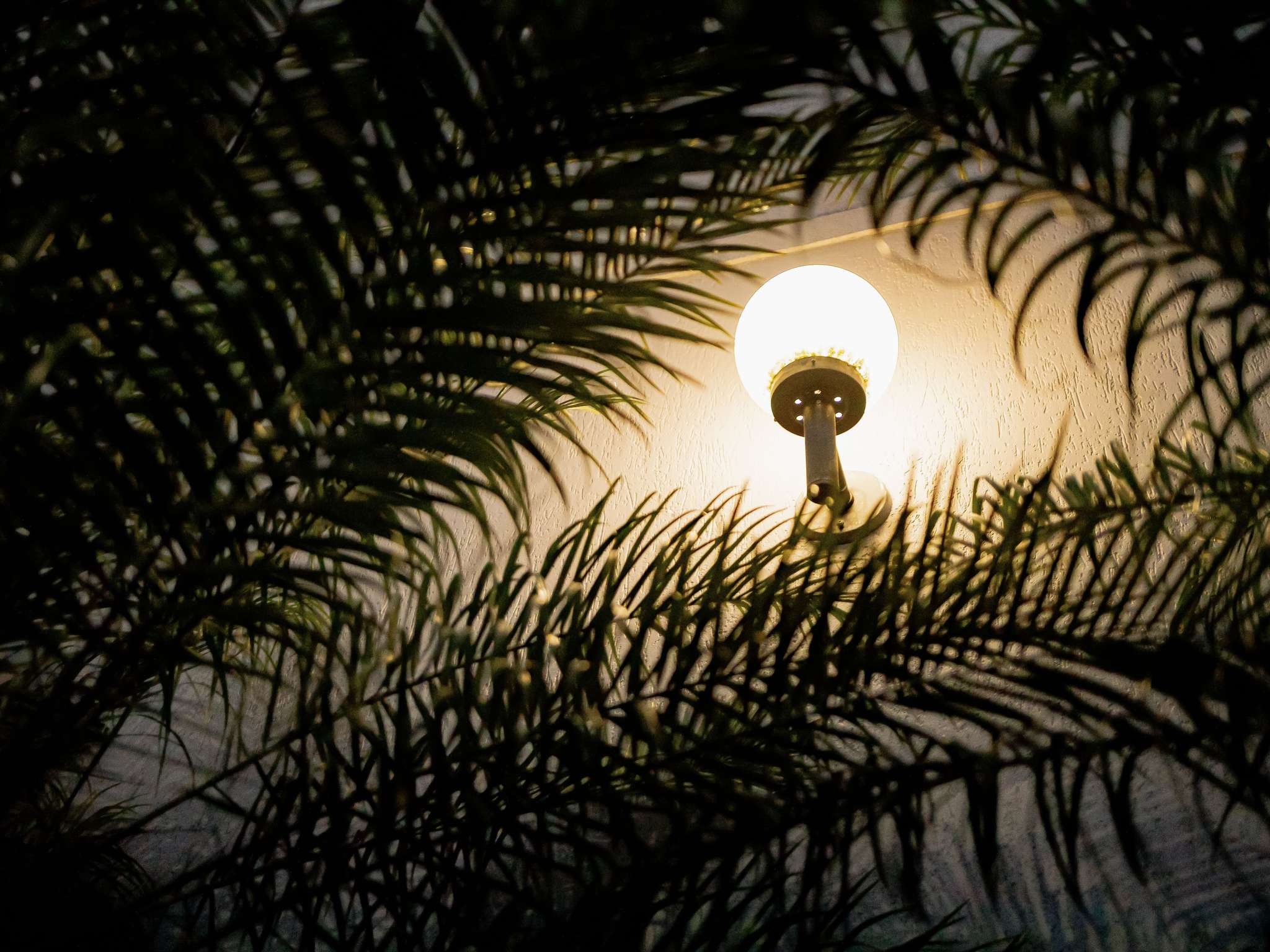 Foto - Mercure Jaragua do Sul